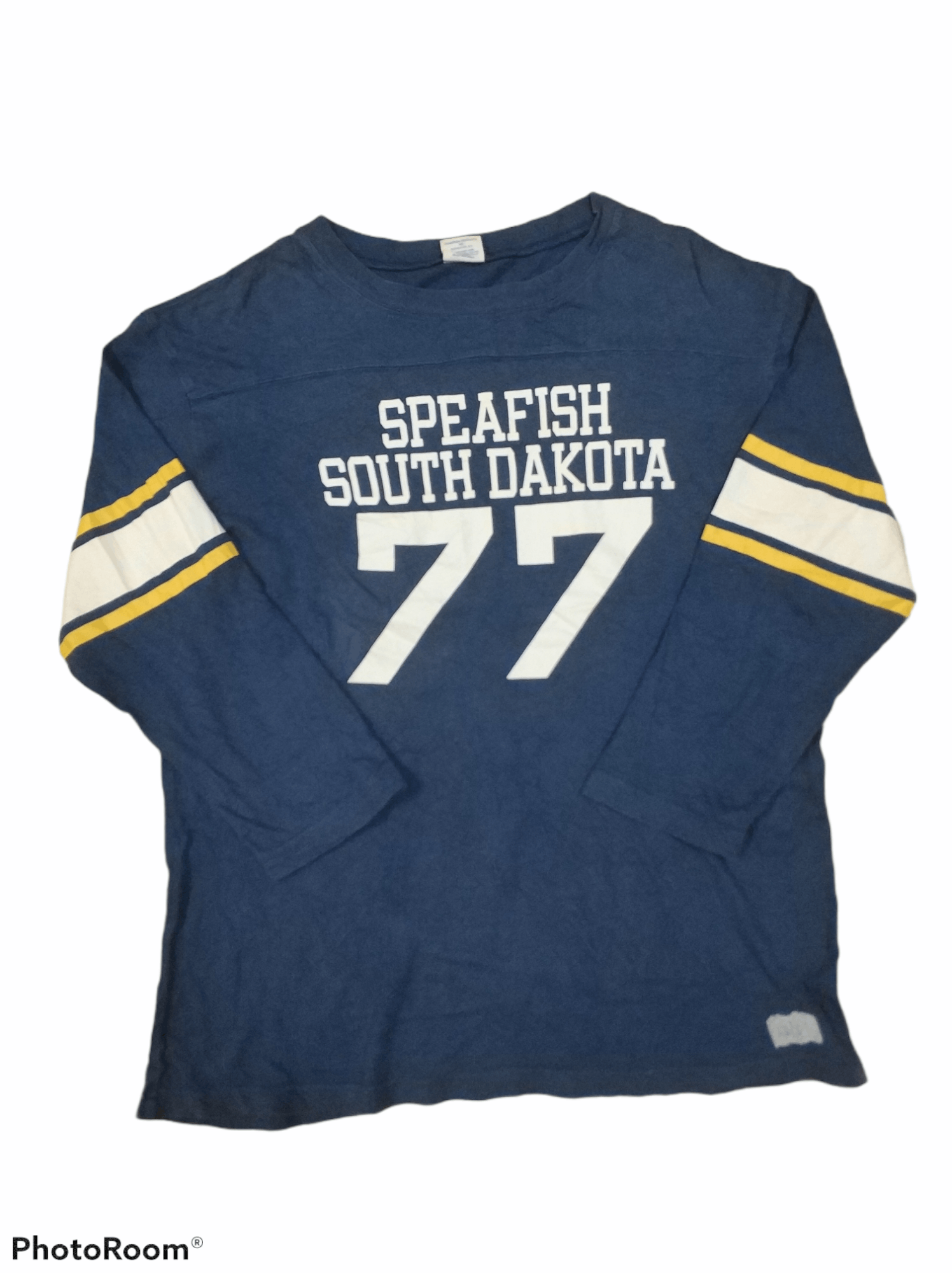 🔥Vintage Champion Speafish South Dakota Tees