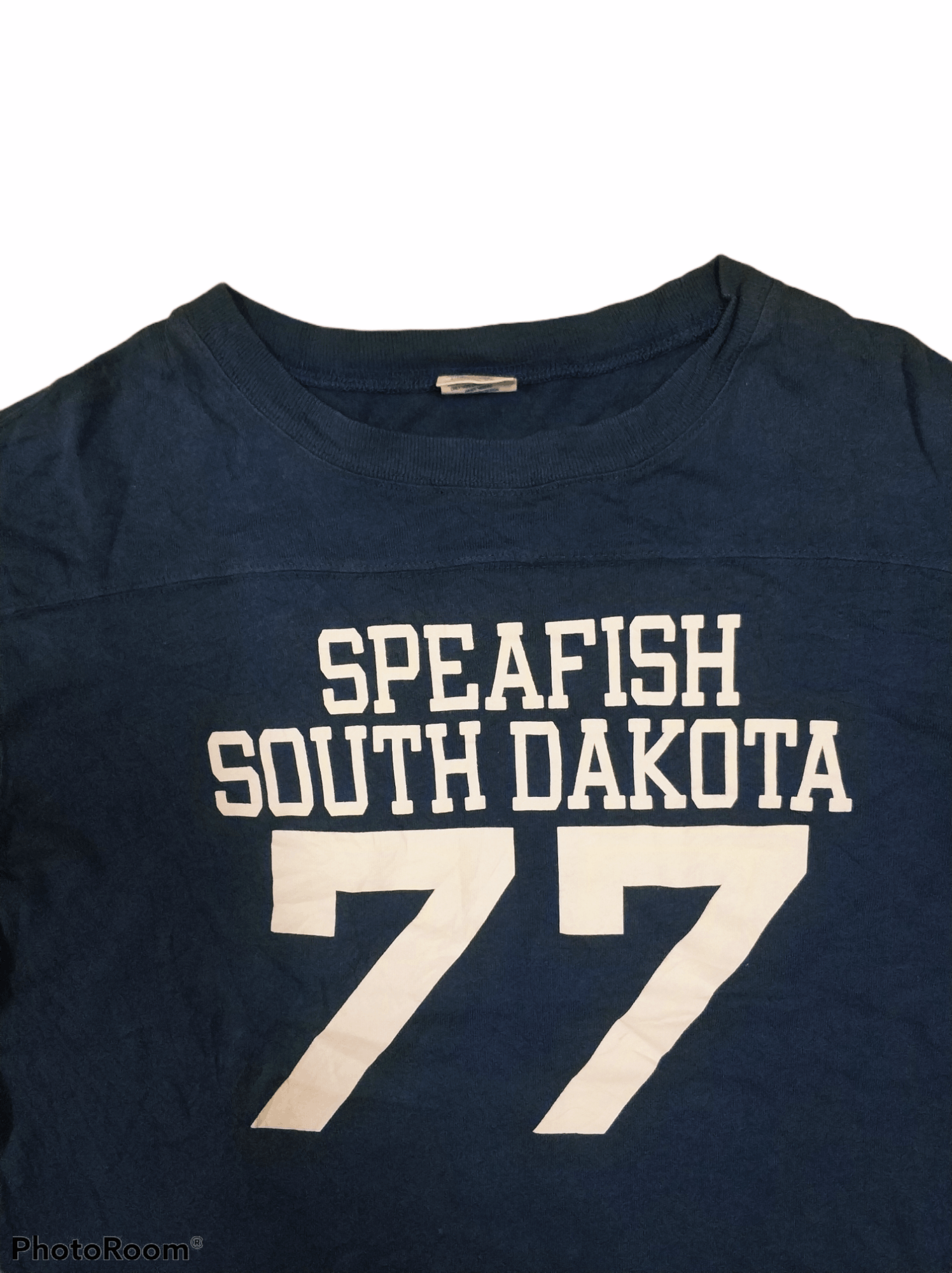 Champion 🔥Vintage Champion Speafish South Dakota Tees Size US M / EU 48-50 / 2 - 2 Thumbnail