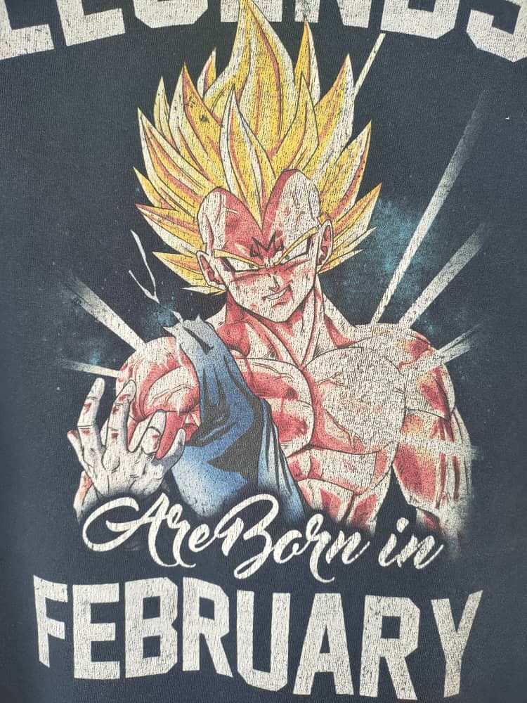 Anime Legend Are Born In February Faded T Size US XXL / EU 58 / 5 - 2 Thumbnail