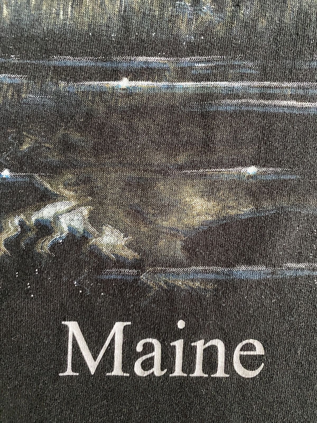 Fruit Of The Loom Vintage ‘98 Moose Maine Black Short Single Stitch Tee Size US XXS / EU 40 - 10 Thumbnail