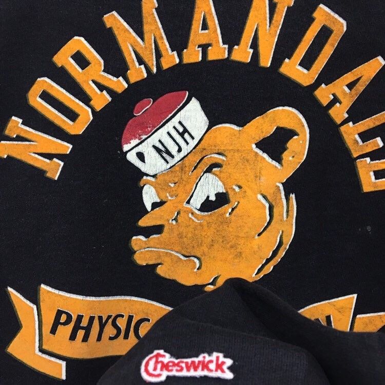Toyo Enterprises Vintage 90s Cheswick Normandale College Sweatshirt Size US S / EU 44-46 / 1 - 8 Thumbnail