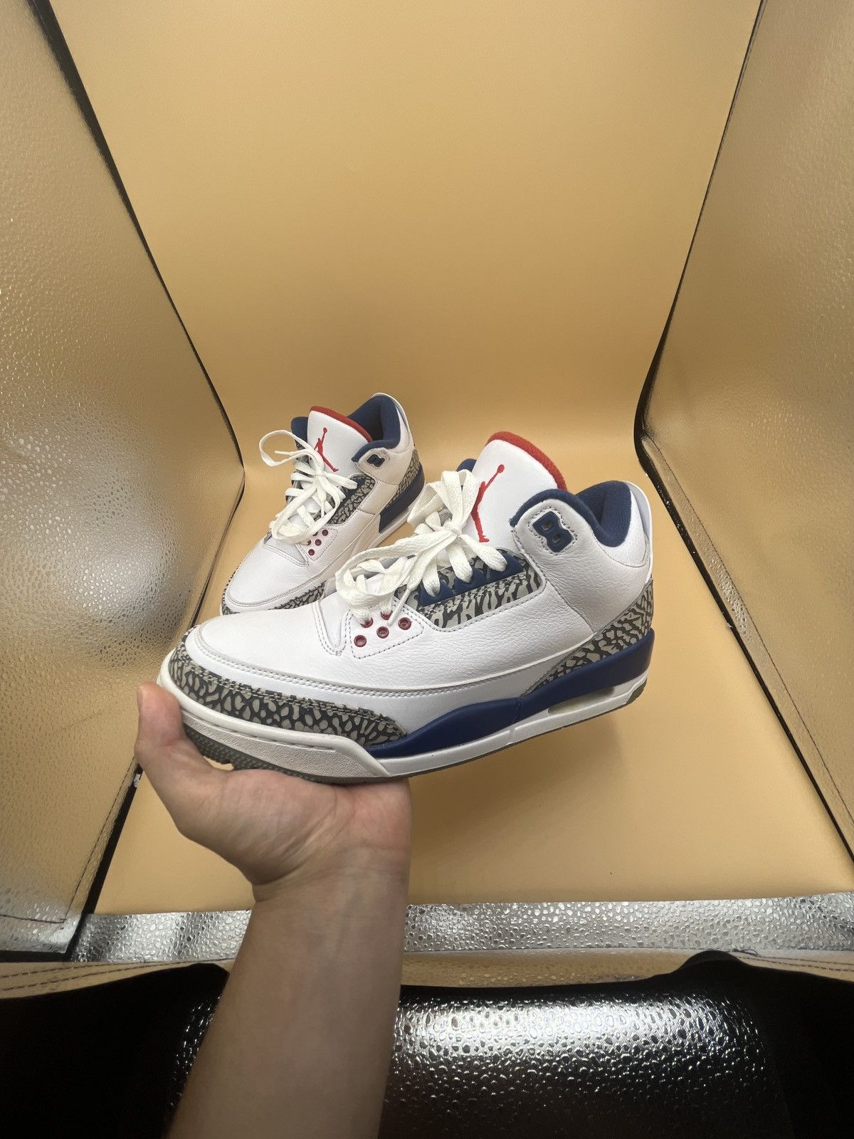 Jordan True Blue (2016)