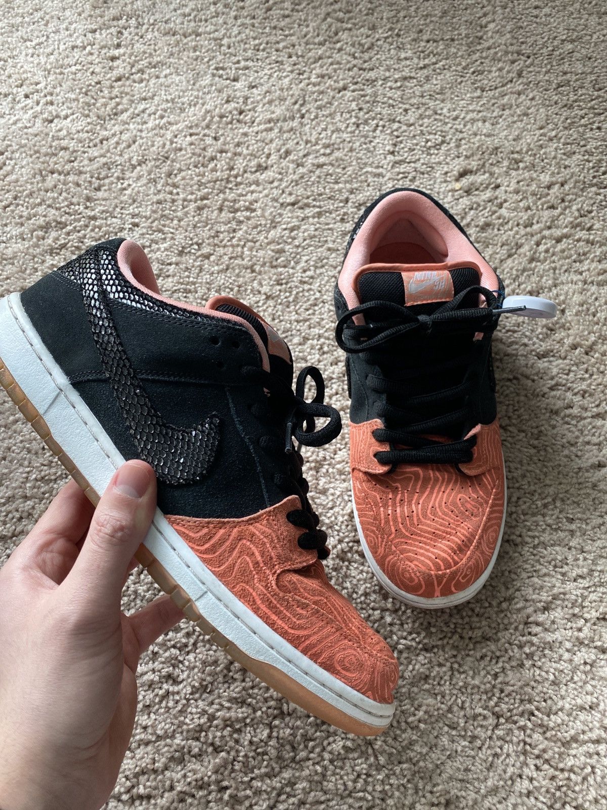 dunk low fish ladder