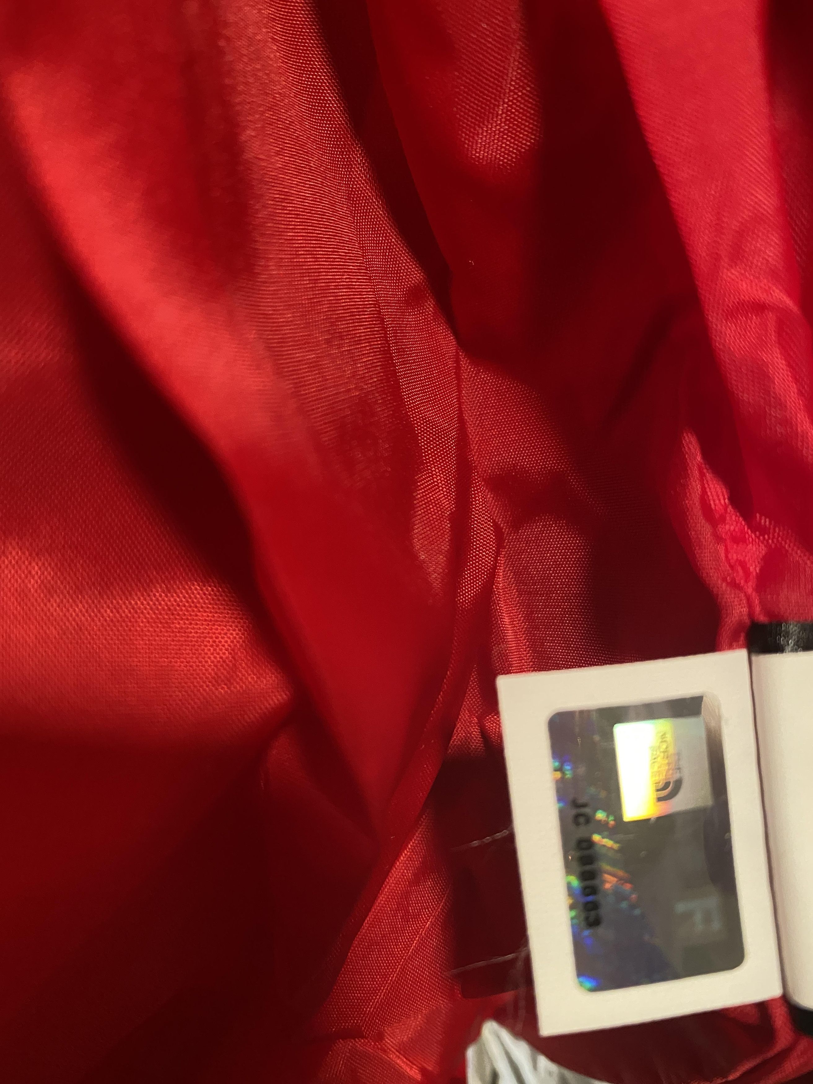 Supreme × The North Face Supreme The North Face 3M Reflective Mountain Jacket Red Size US L / EU 52-54 / 3 - 10 Thumbnail
