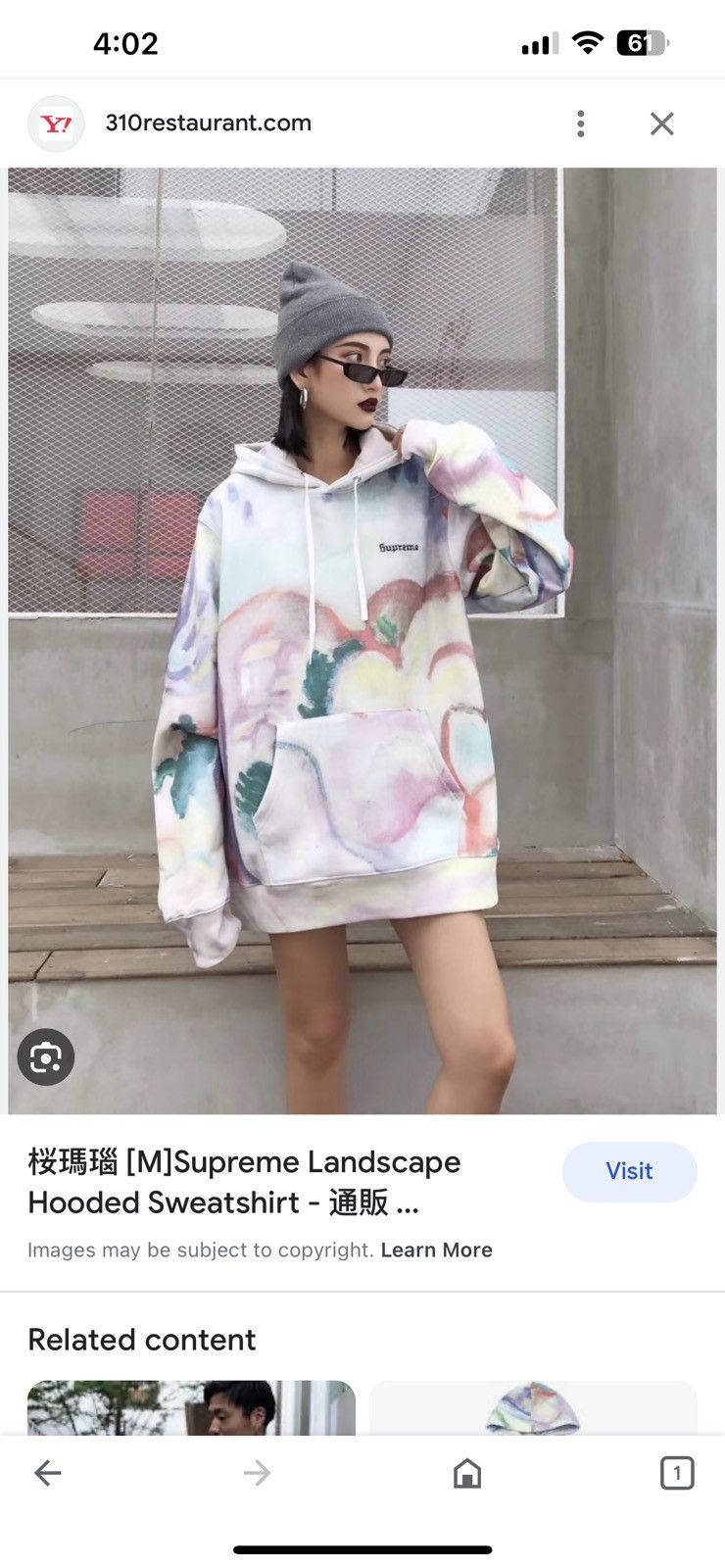 Supreme Supreme Landscape Hooded Sweatshirt Multicolor | Grailed 