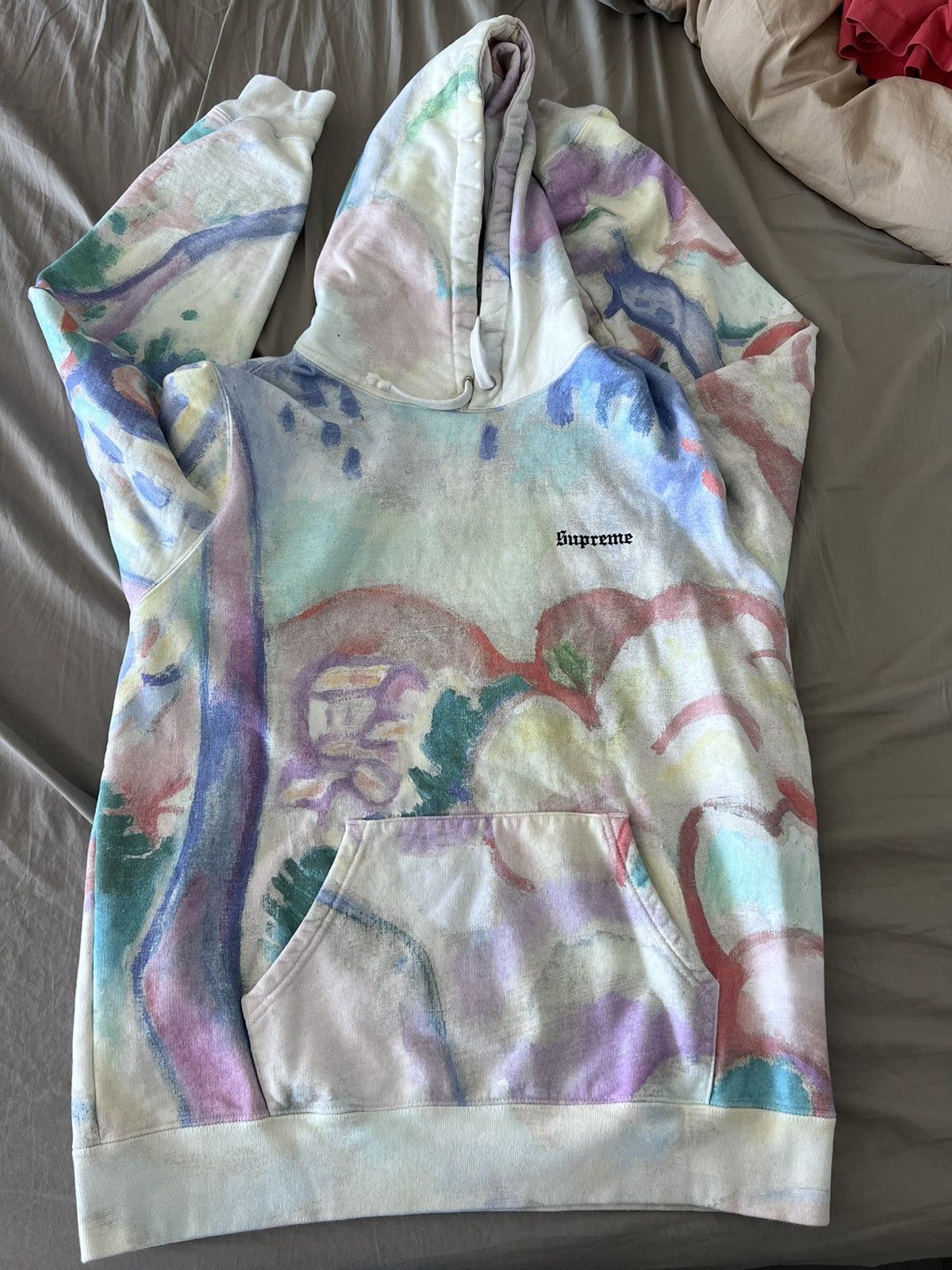 Supreme landscape best sale hoodie fake