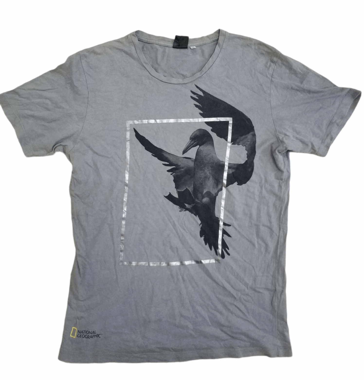 Japanese Brand 🔥National Geographic x Uniqlo Bird Tees Size US M / EU 48-50 / 2 - 1 Thumbnail