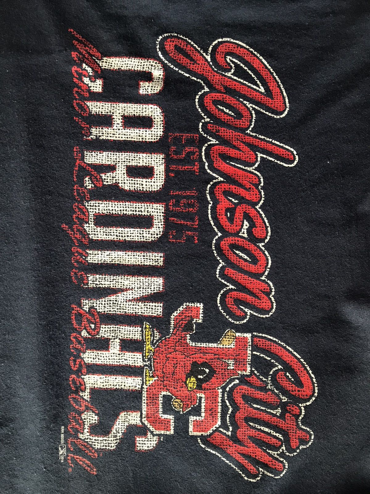 Gildan Vintage MLB Johnson City Cardinals Tee Size US M / EU 48-50 / 2 - 2 Thumbnail