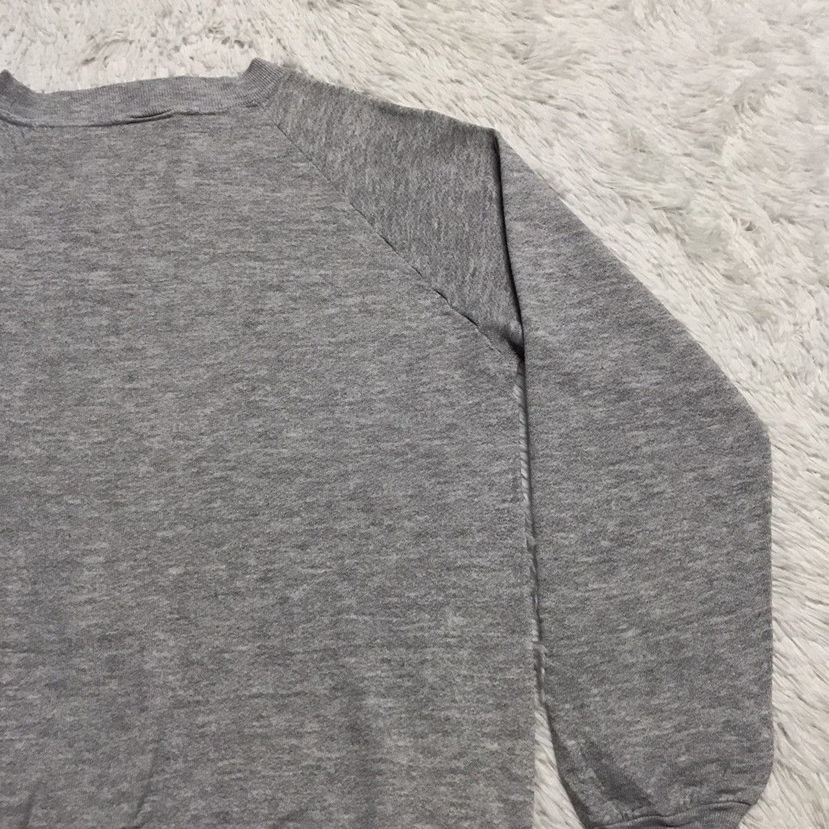 Fruit Of The Loom Raccoon fruit of the loom sweatshirt Size US S / EU 44-46 / 1 - 19 Thumbnail