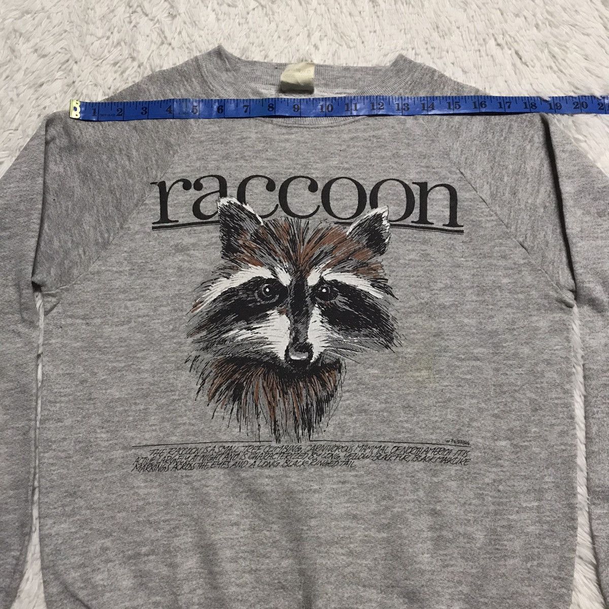 Fruit Of The Loom Raccoon fruit of the loom sweatshirt Size US S / EU 44-46 / 1 - 12 Thumbnail
