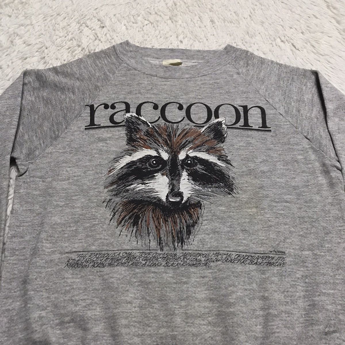 Fruit Of The Loom Raccoon fruit of the loom sweatshirt Size US S / EU 44-46 / 1 - 7 Thumbnail