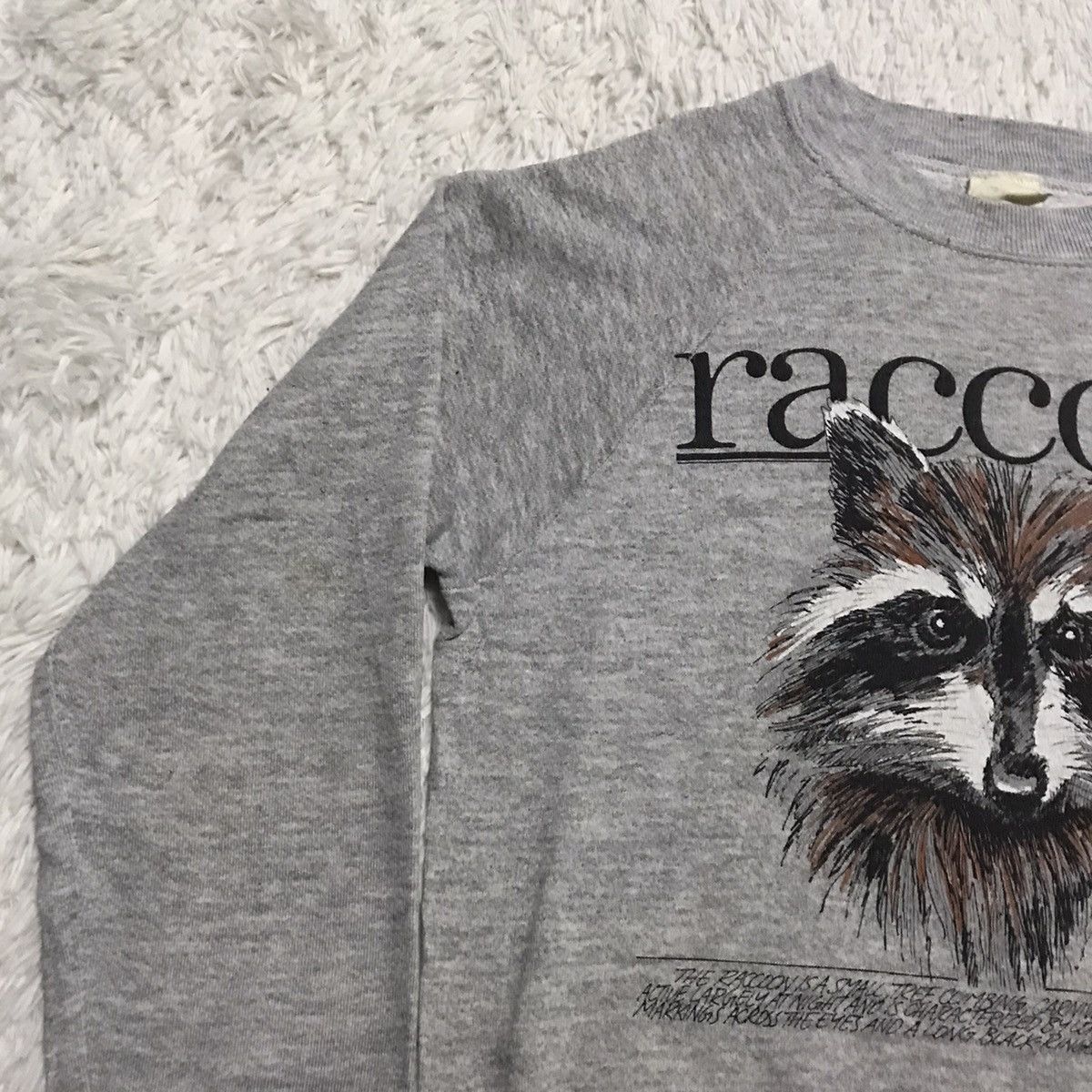 Fruit Of The Loom Raccoon fruit of the loom sweatshirt Size US S / EU 44-46 / 1 - 3 Thumbnail