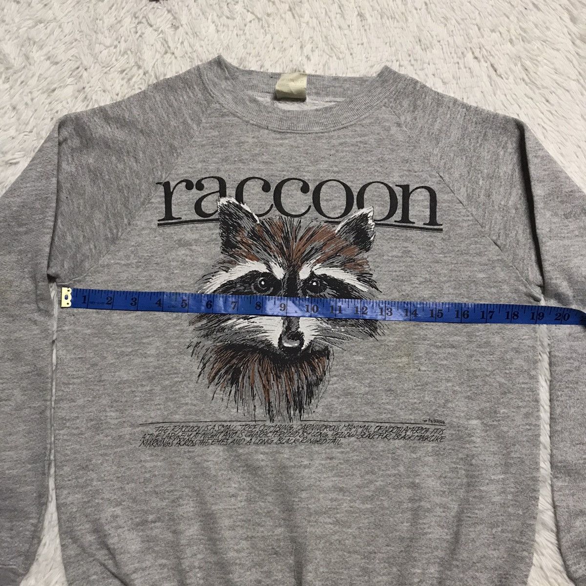 Fruit Of The Loom Raccoon fruit of the loom sweatshirt Size US S / EU 44-46 / 1 - 11 Thumbnail