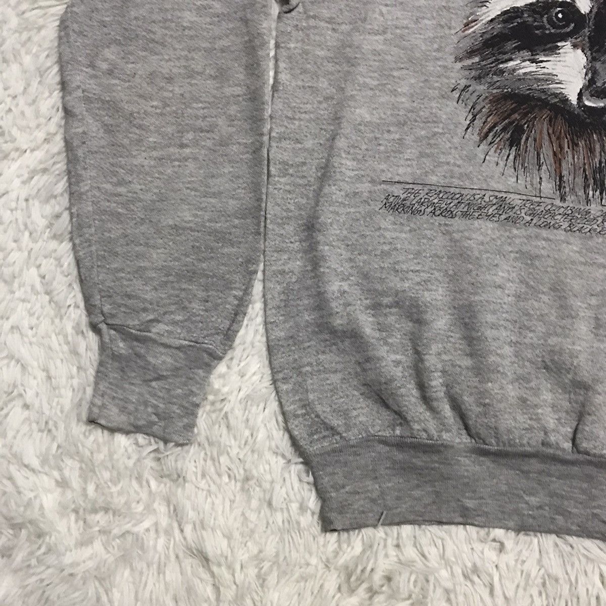 Fruit Of The Loom Raccoon fruit of the loom sweatshirt Size US S / EU 44-46 / 1 - 4 Thumbnail