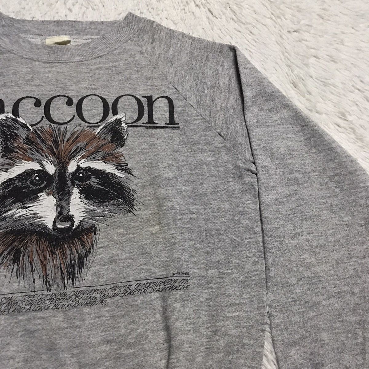 Fruit Of The Loom Raccoon fruit of the loom sweatshirt Size US S / EU 44-46 / 1 - 6 Thumbnail
