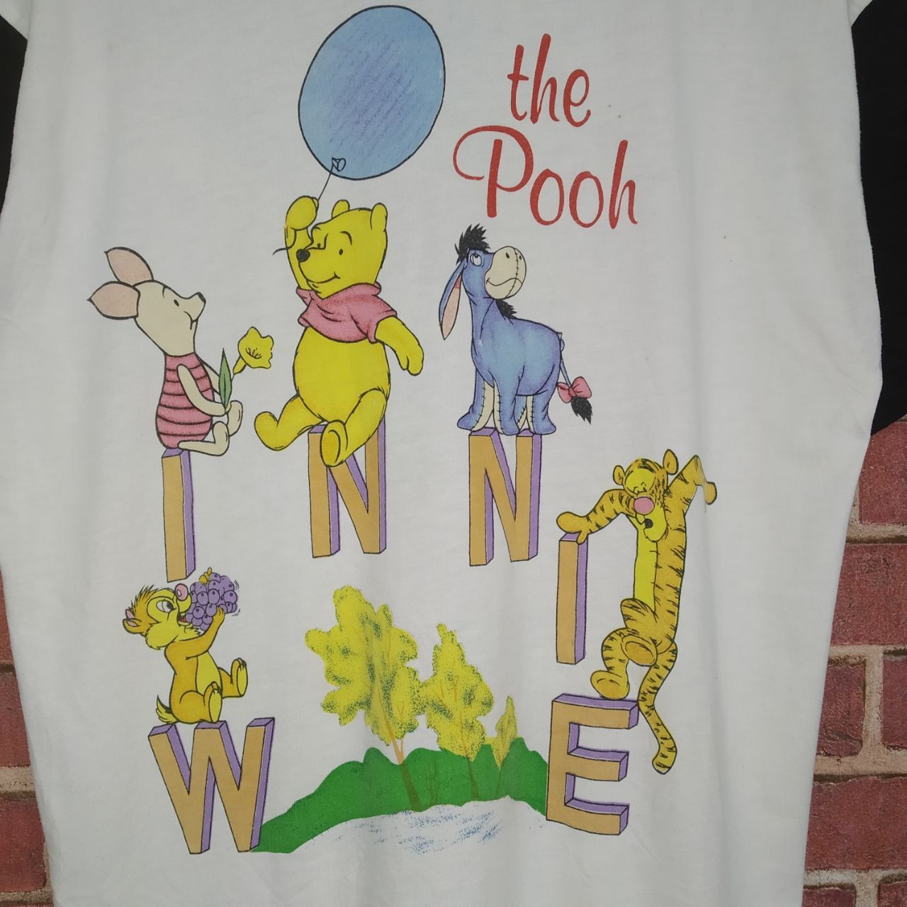 Cartoon Network Vintage Winnie The Pooh And Friend Animated Cartoon Pooh Size US L / EU 52-54 / 3 - 6 Thumbnail