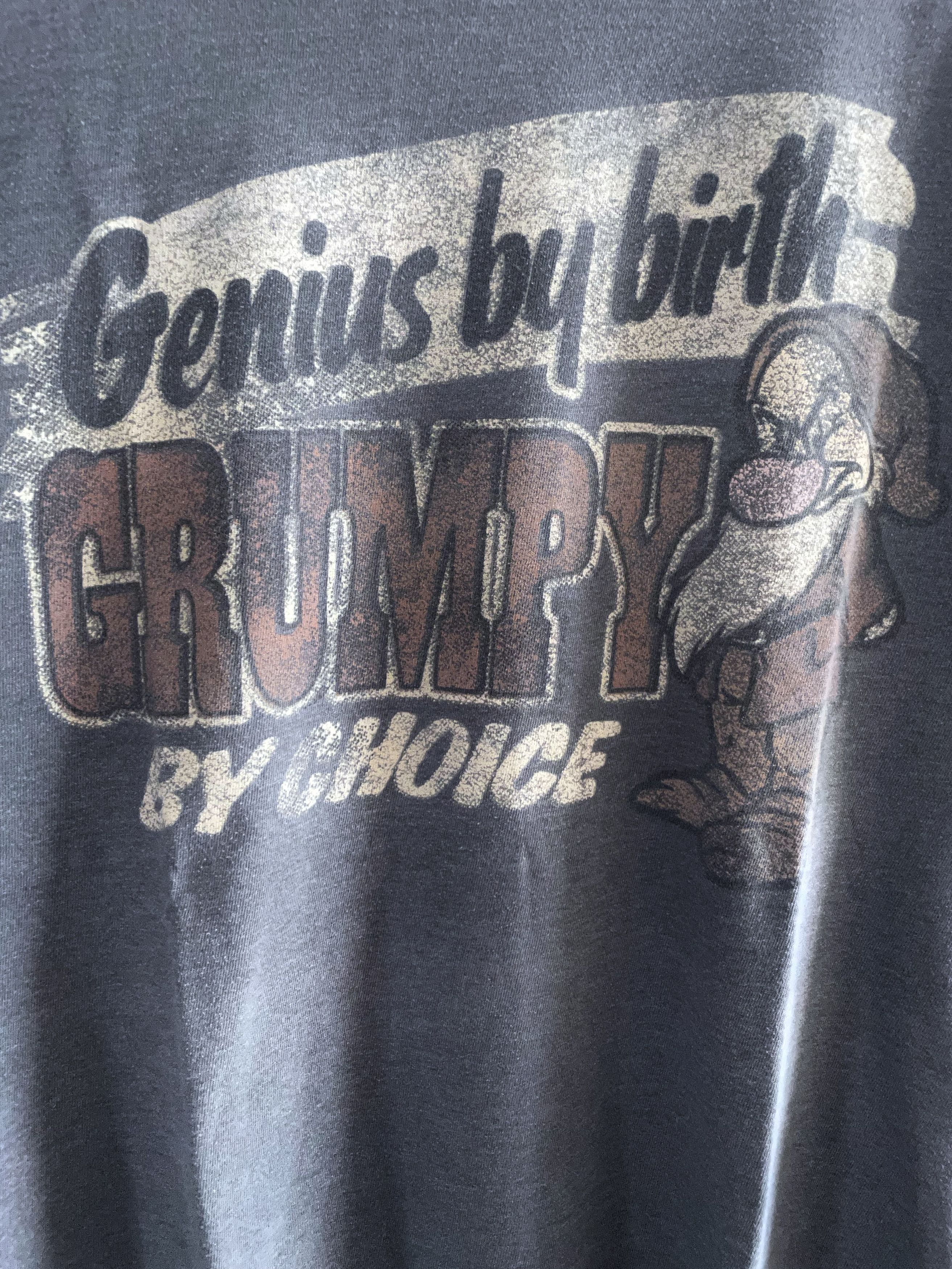 SNOW WHITE GRUMPY CARTOON FADED LOOPWHEEL T SHIRT