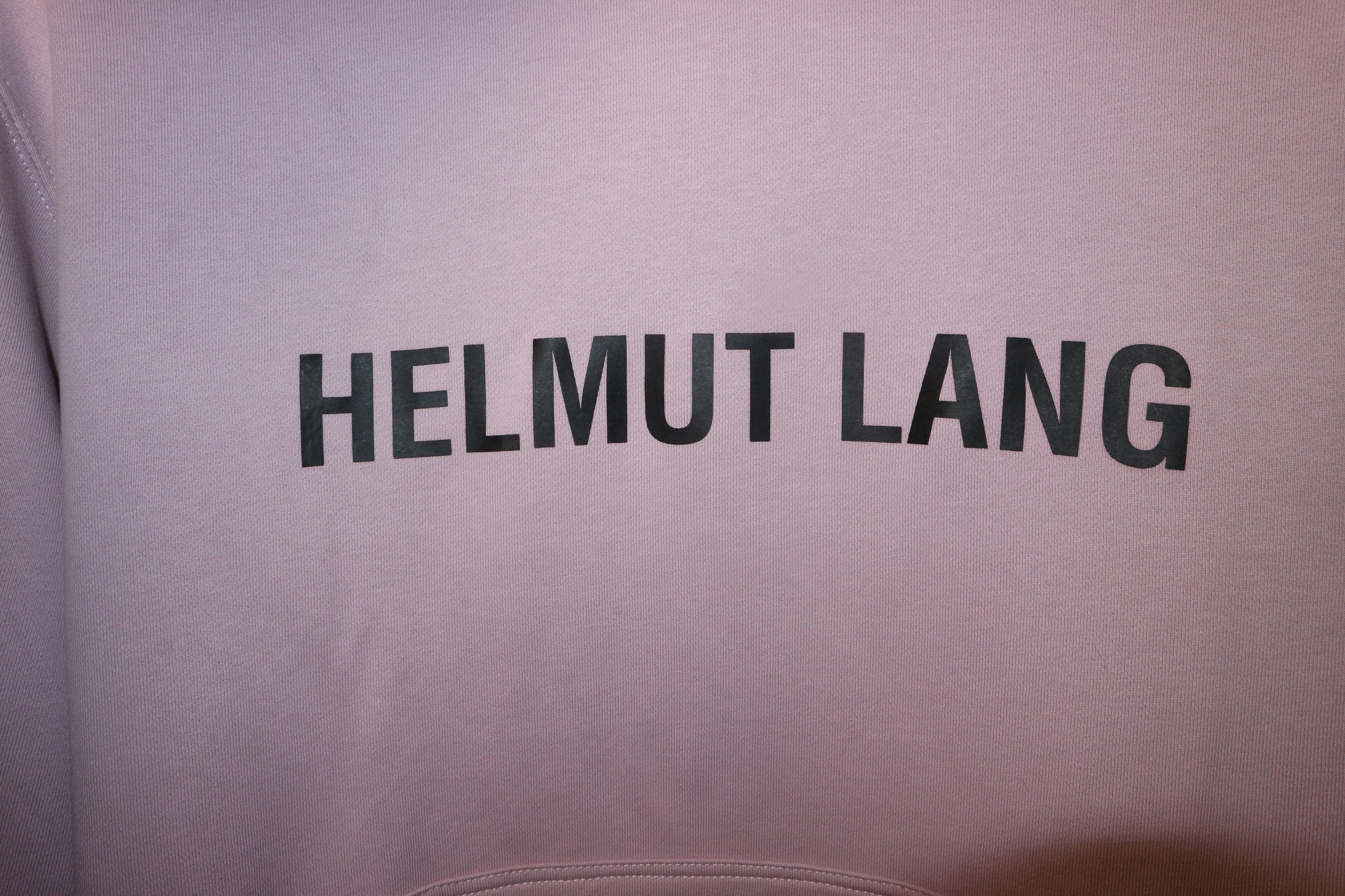 Helmut Lang Core logo hoodie Size US L / EU 52-54 / 3 - 2 Thumbnail