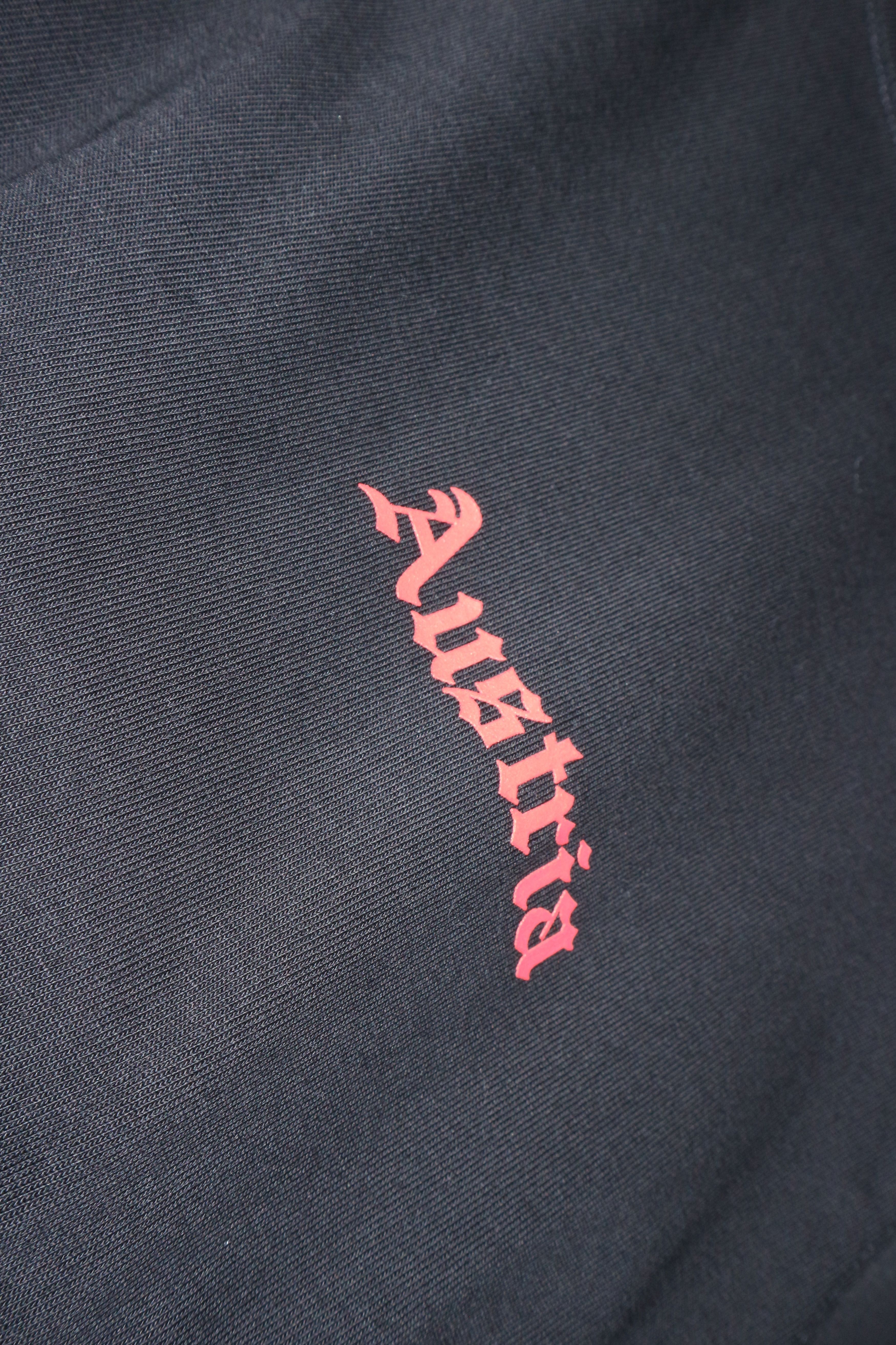 Helmut Lang Austria print t-shirt Size US M / EU 48-50 / 2 - 7 Thumbnail