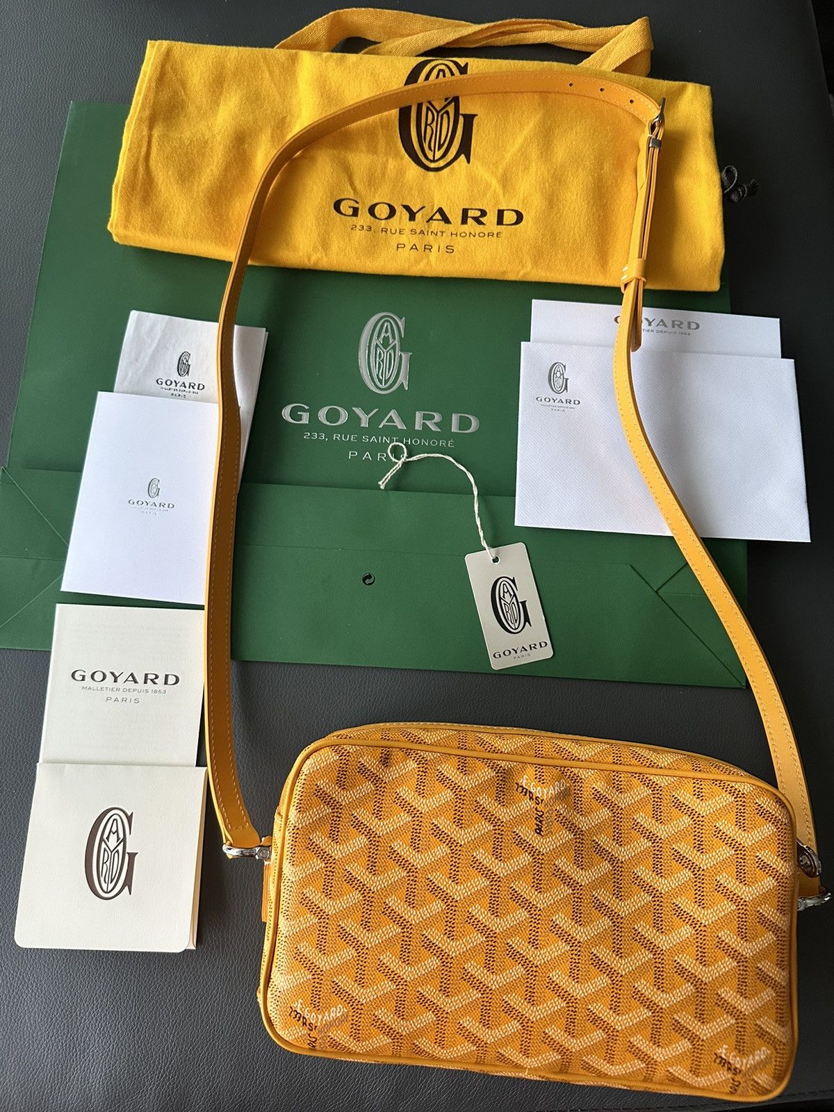 Goyard Brand New Limited Super Rare Cap Vert Goyard Camera Bag Size ONE SIZE - 11 Thumbnail