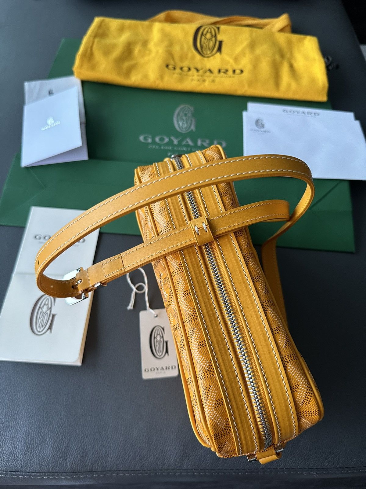 Goyard Brand New Limited Super Rare Cap Vert Goyard Camera Bag Size ONE SIZE - 5 Thumbnail