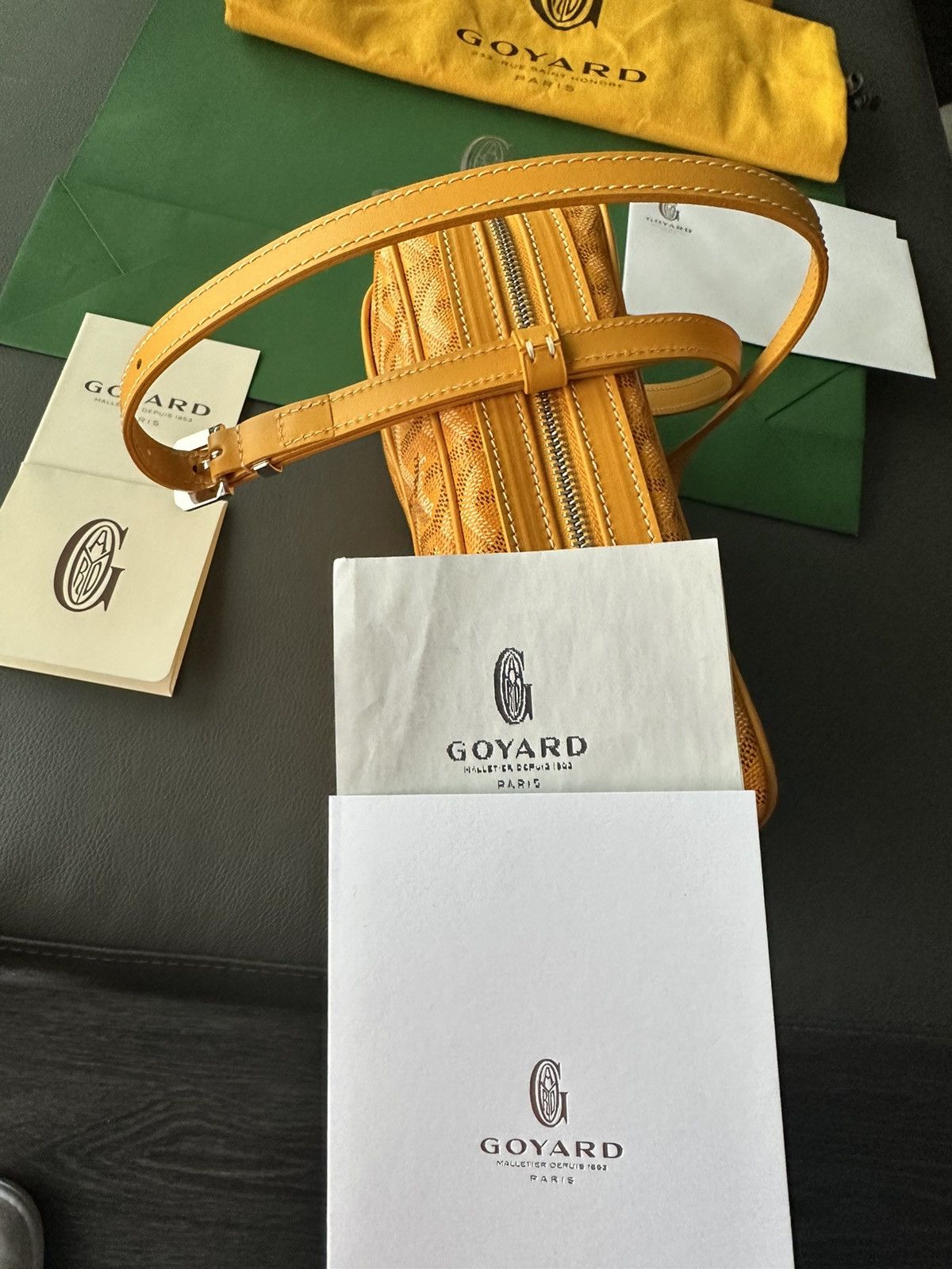 Goyard Brand New Limited Super Rare Cap Vert Goyard Camera Bag Size ONE SIZE - 12 Thumbnail