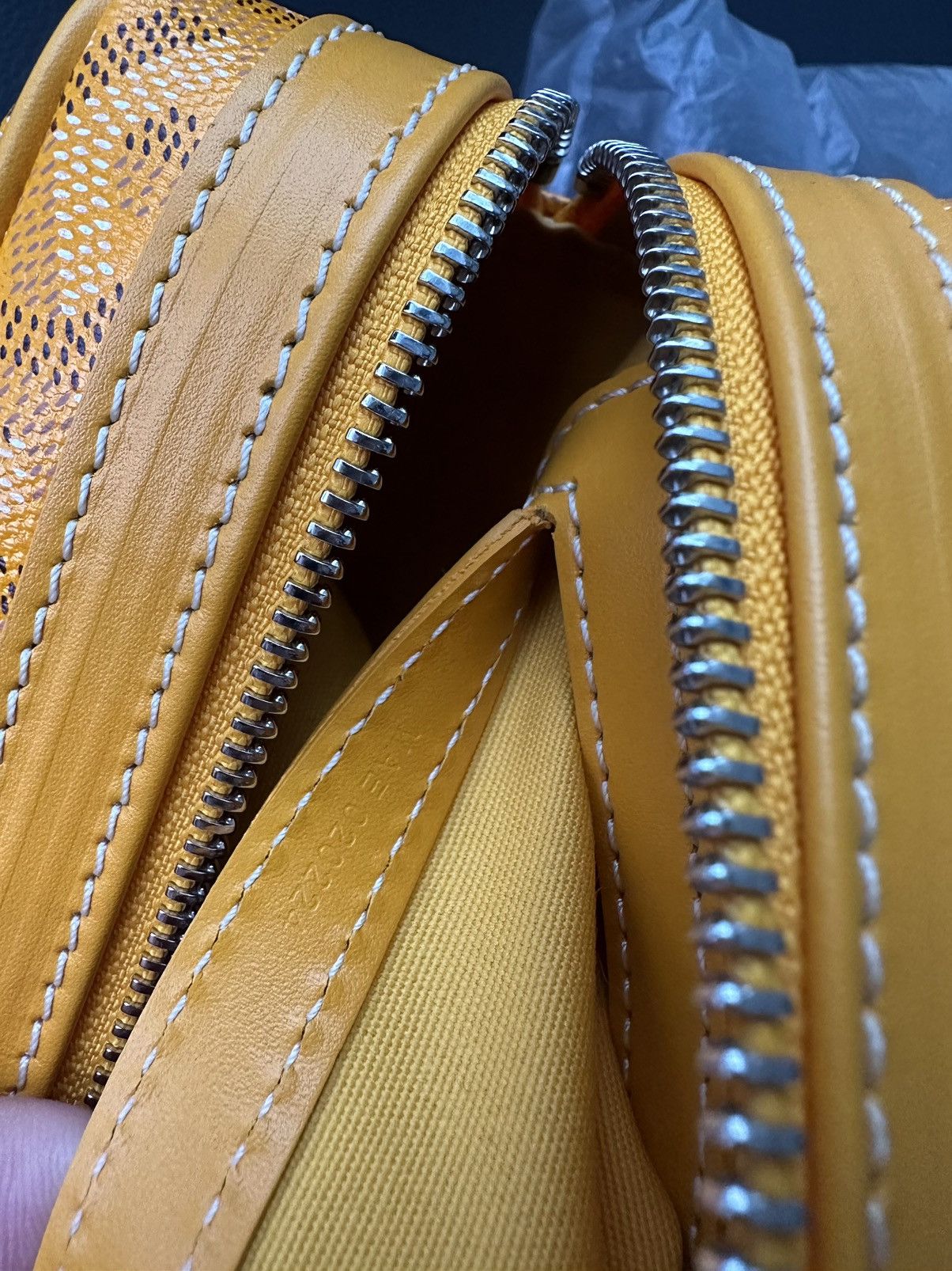 Goyard Brand New Limited Super Rare Cap Vert Goyard Camera Bag Size ONE SIZE - 19 Thumbnail