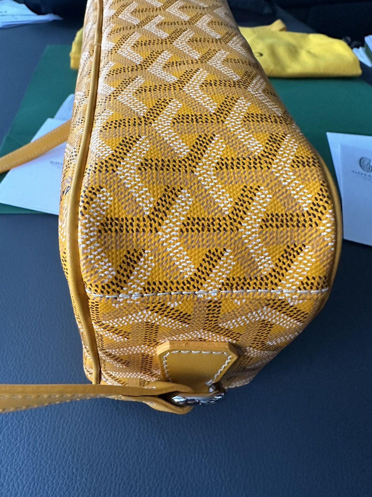 Goyard Brand New Limited Super Rare Cap Vert Goyard Camera Bag Size ONE SIZE - 25 Thumbnail