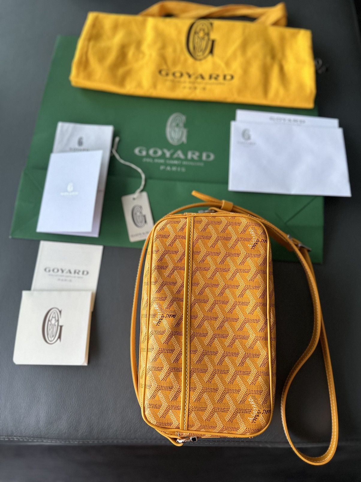 Goyard Brand New Limited Super Rare Cap Vert Goyard Camera Bag Size ONE SIZE - 3 Thumbnail