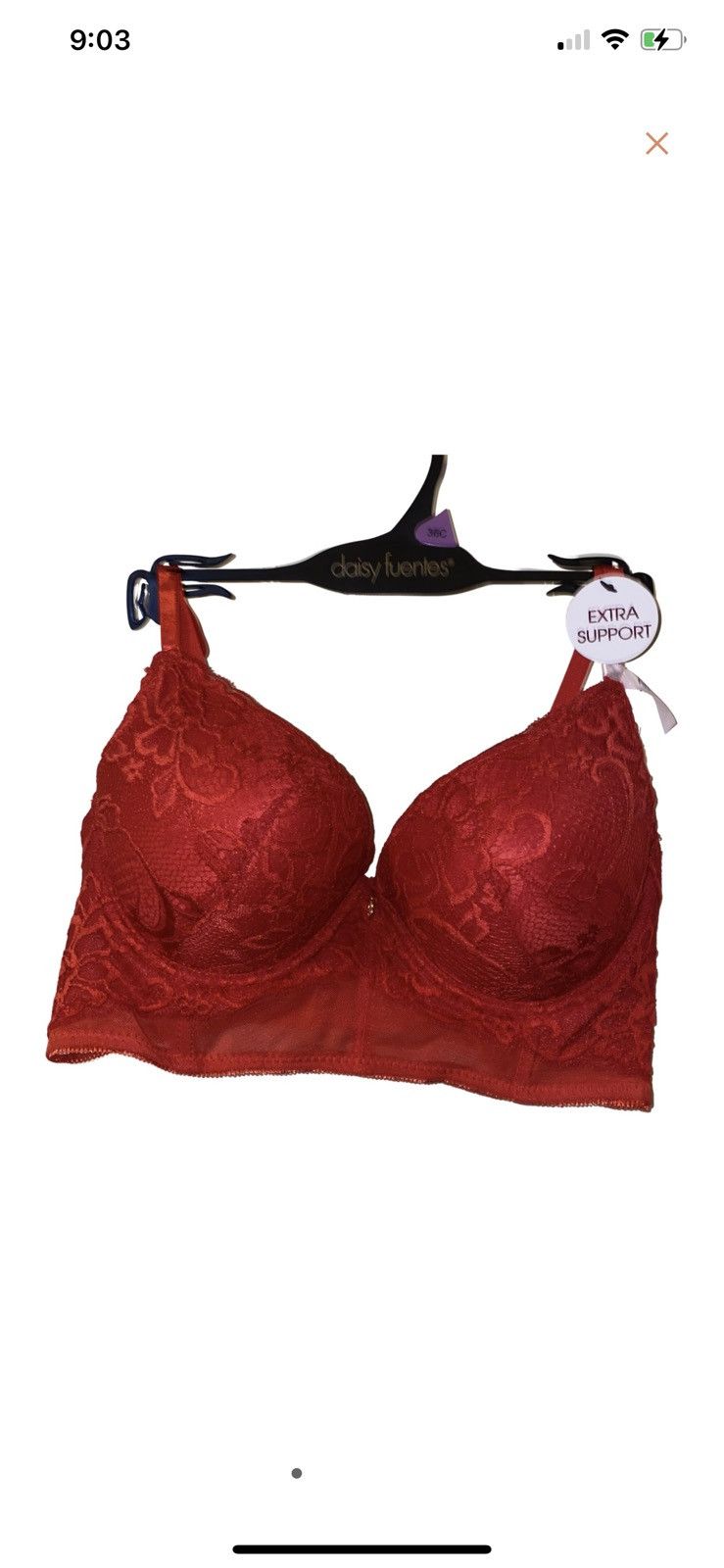 Designer NWT Daisy Fuentes * Size 36C * Red Lace push up Bra * corset
