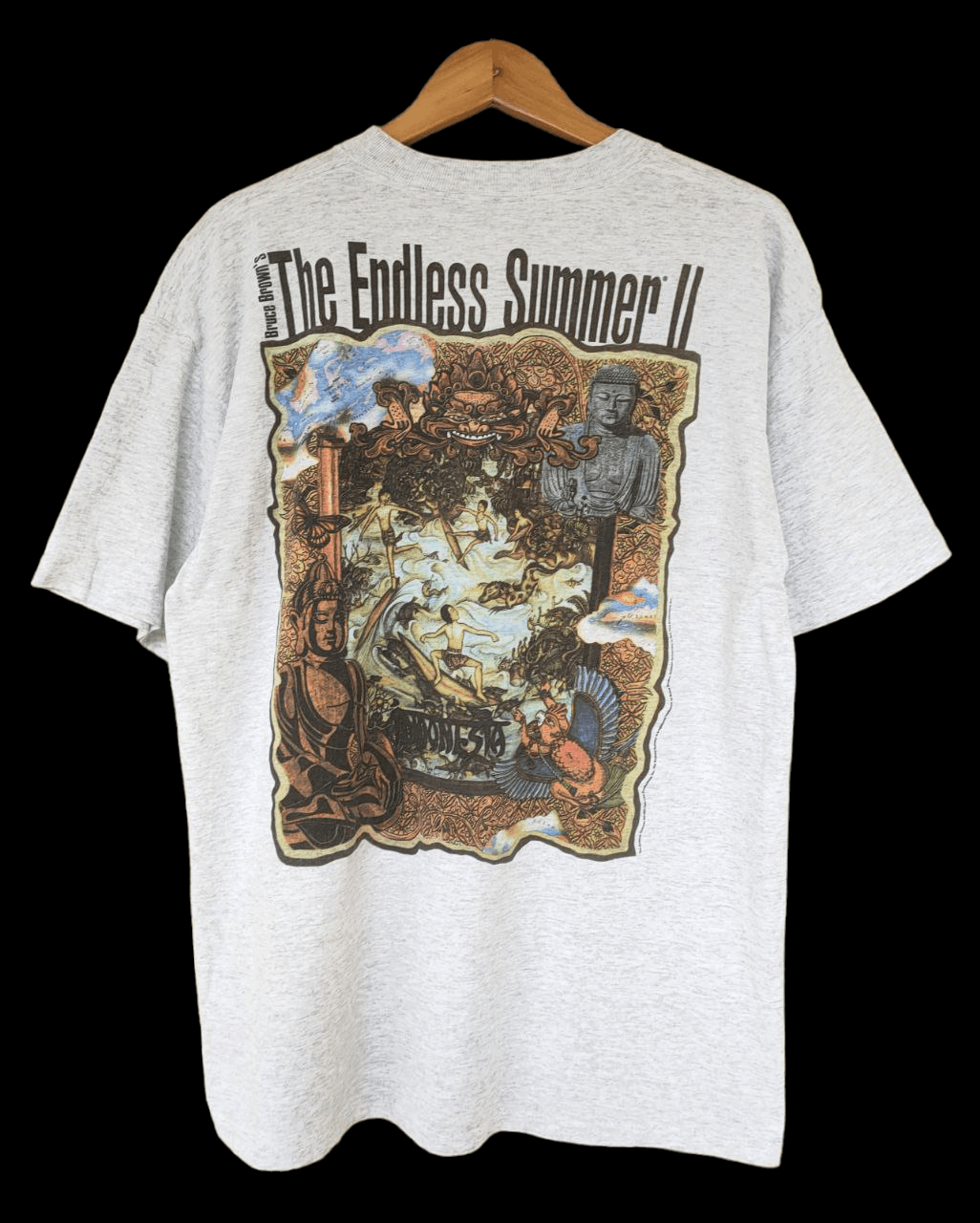 The Endless Summer 2 | Grailed