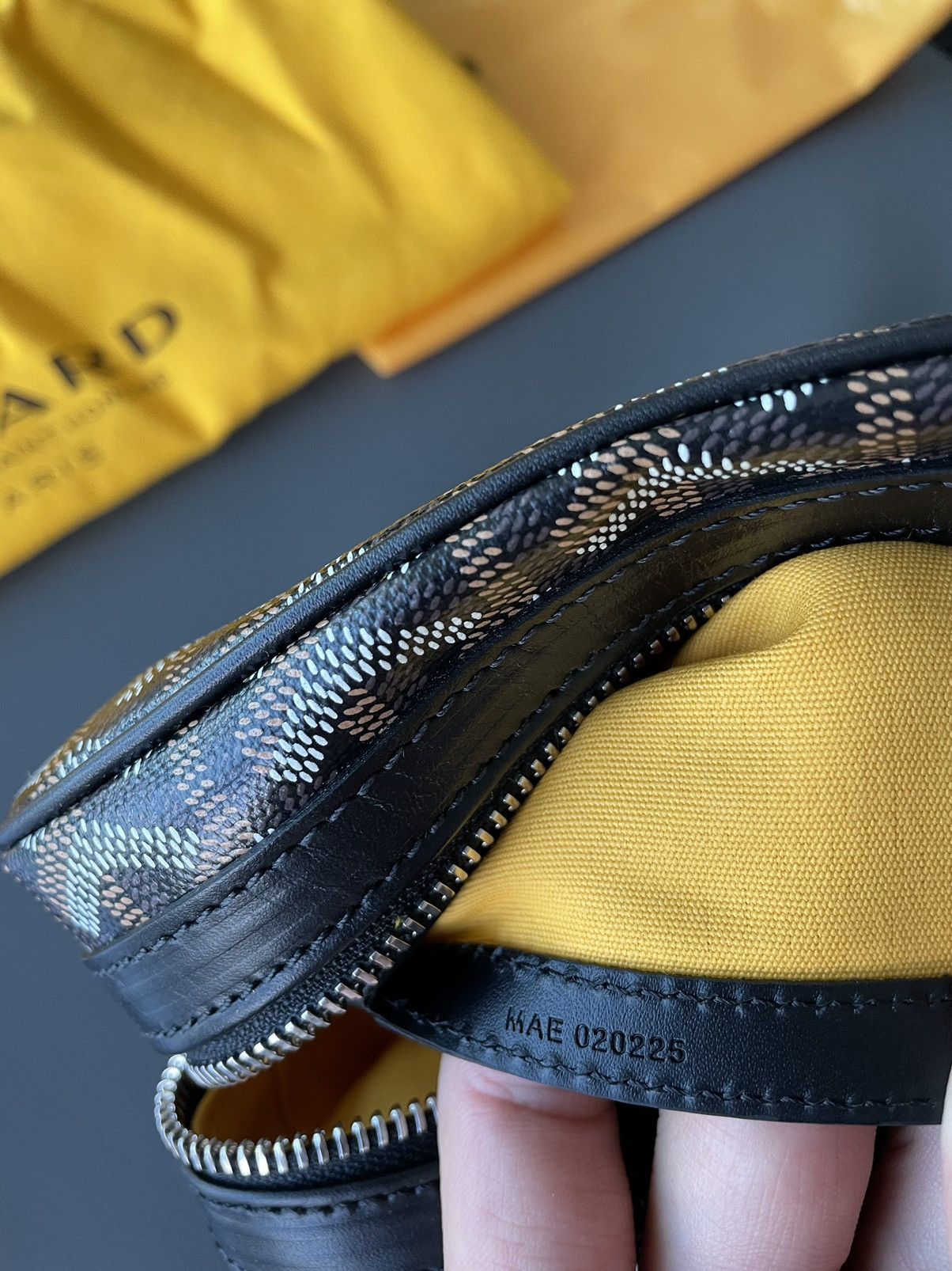 Goyard Rare Iconic Limited Brand New Cap Vert Crossbody Camera Bag Size ONE SIZE - 9 Thumbnail