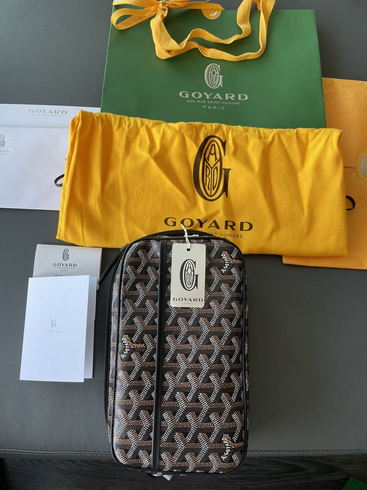 Goyard Rare Iconic Limited Brand New Cap Vert Crossbody Camera Bag Size ONE SIZE - 13 Thumbnail