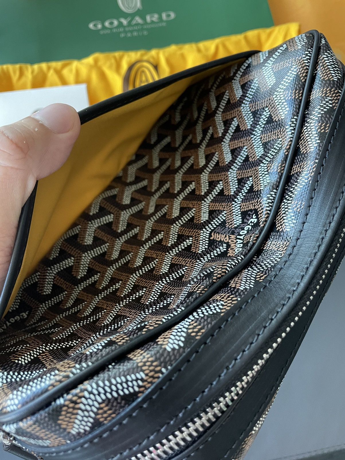Goyard Rare Iconic Limited Brand New Cap Vert Crossbody Camera Bag Size ONE SIZE - 23 Thumbnail