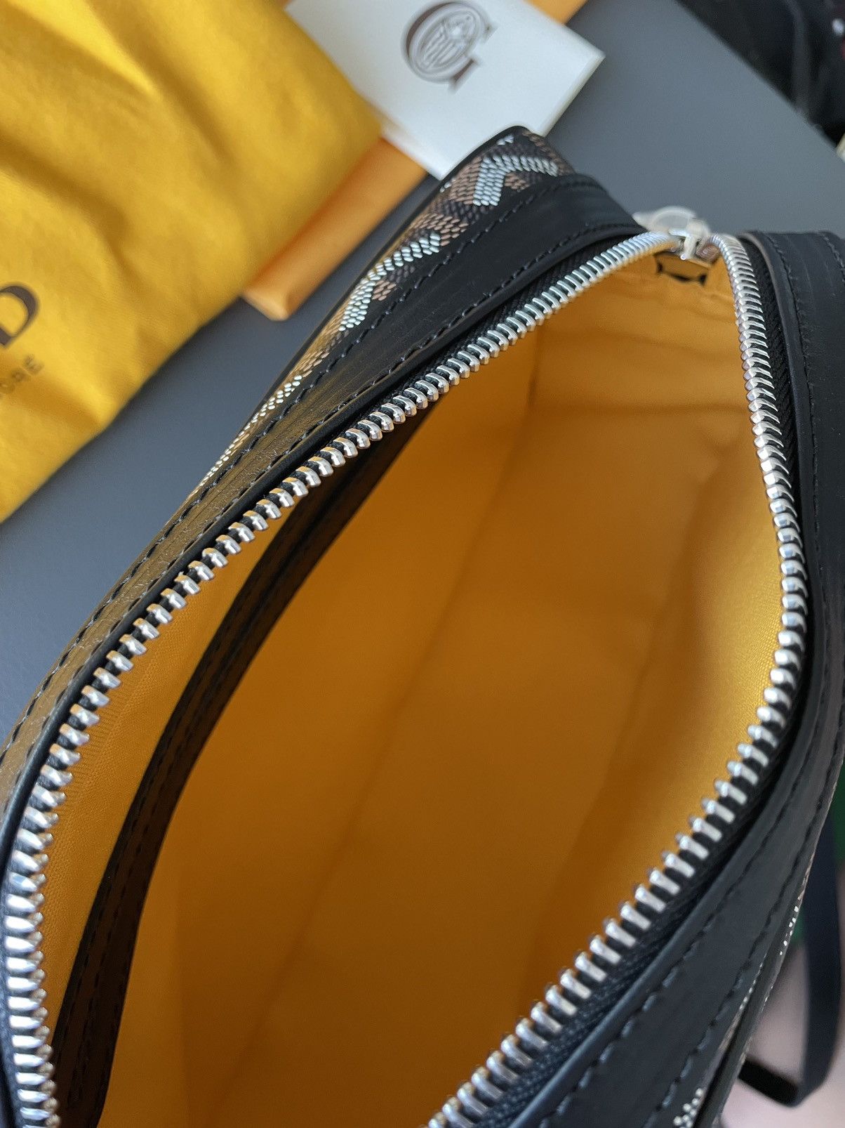 Goyard Rare Iconic Limited Brand New Cap Vert Crossbody Camera Bag Size ONE SIZE - 21 Thumbnail