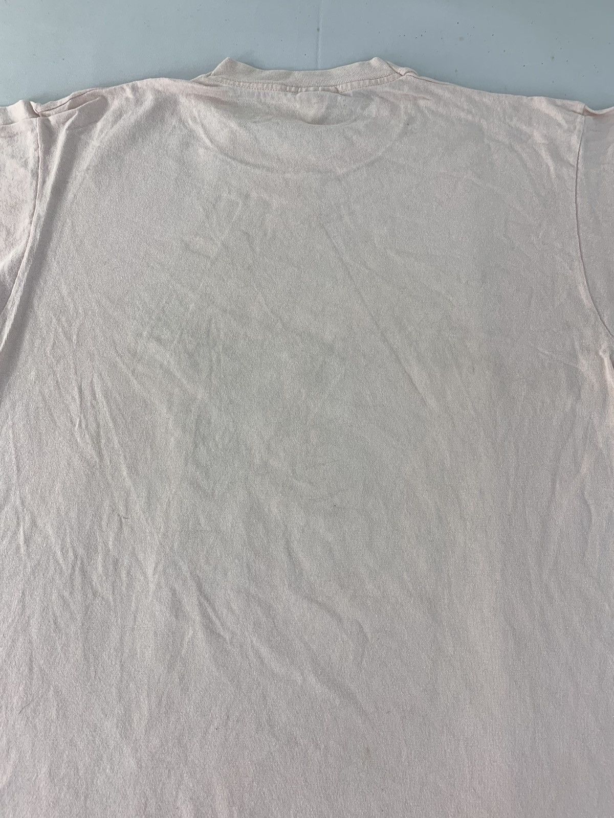 Fruit Of The Loom 90s Fruit Of The Loom No Problem Cat Screen Printed Tee Size US L / EU 52-54 / 3 - 4 Thumbnail