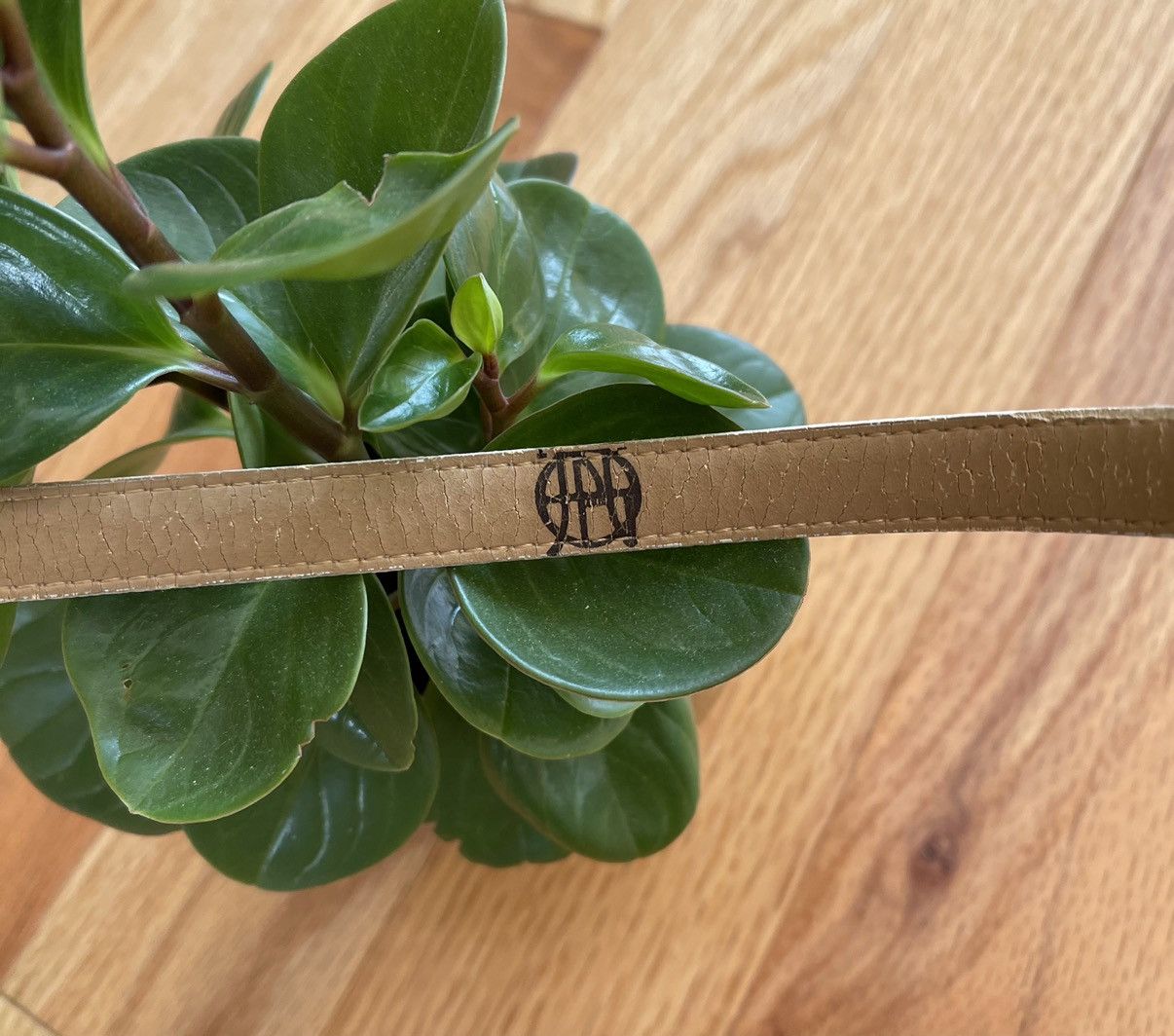Jean Paul Gaultier Vintage 1990s Jean Paul Gaultier Leather Belt Size 26 - 4 Thumbnail