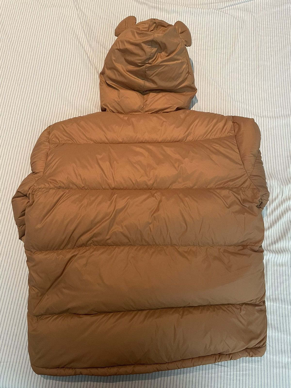 Graduation Bear puffer coat Lex cheeseburgers