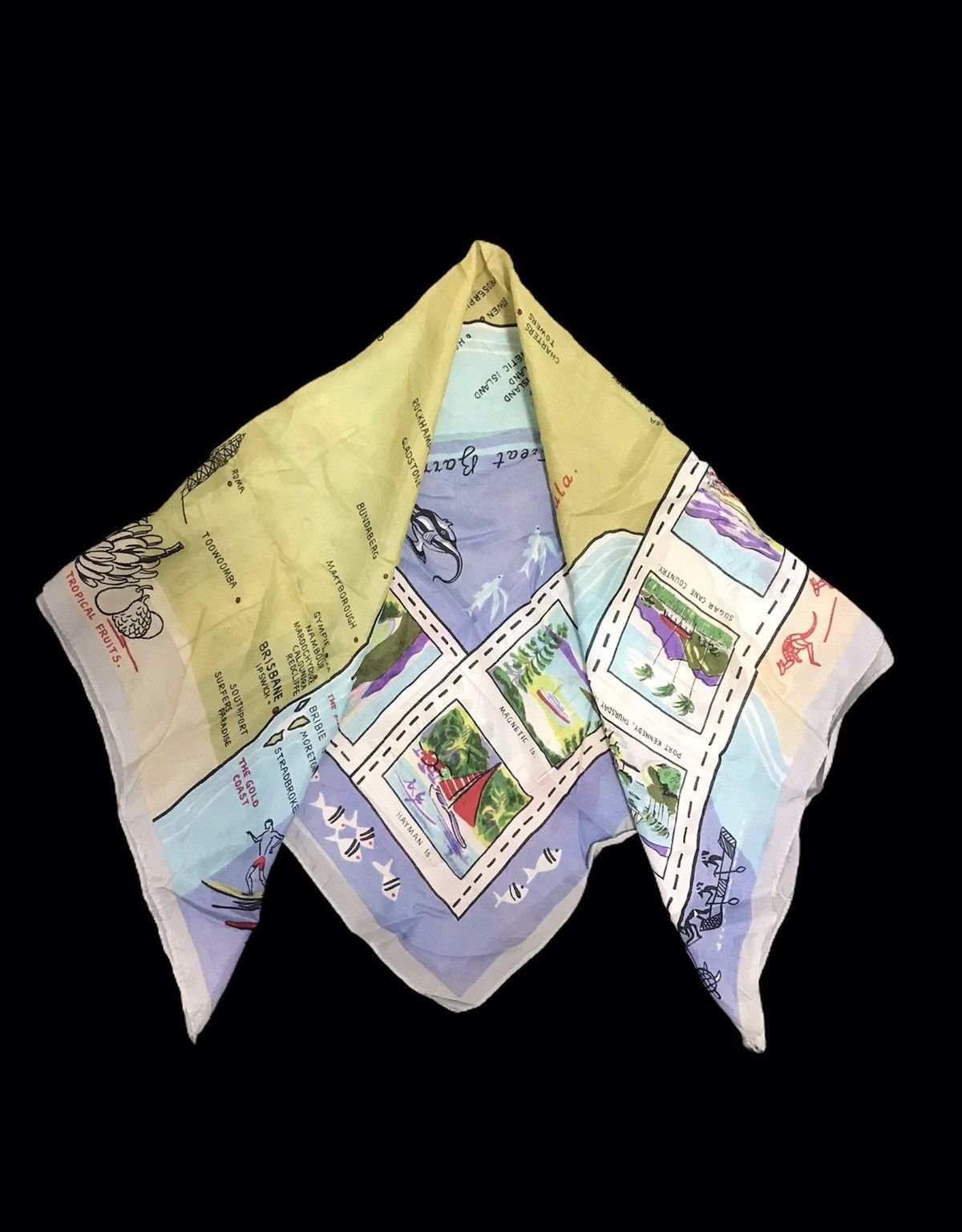 Other Australia’s Place Queensland FrancoisHeil Printed Screen Size ONE SIZE - 1 Thumbnail