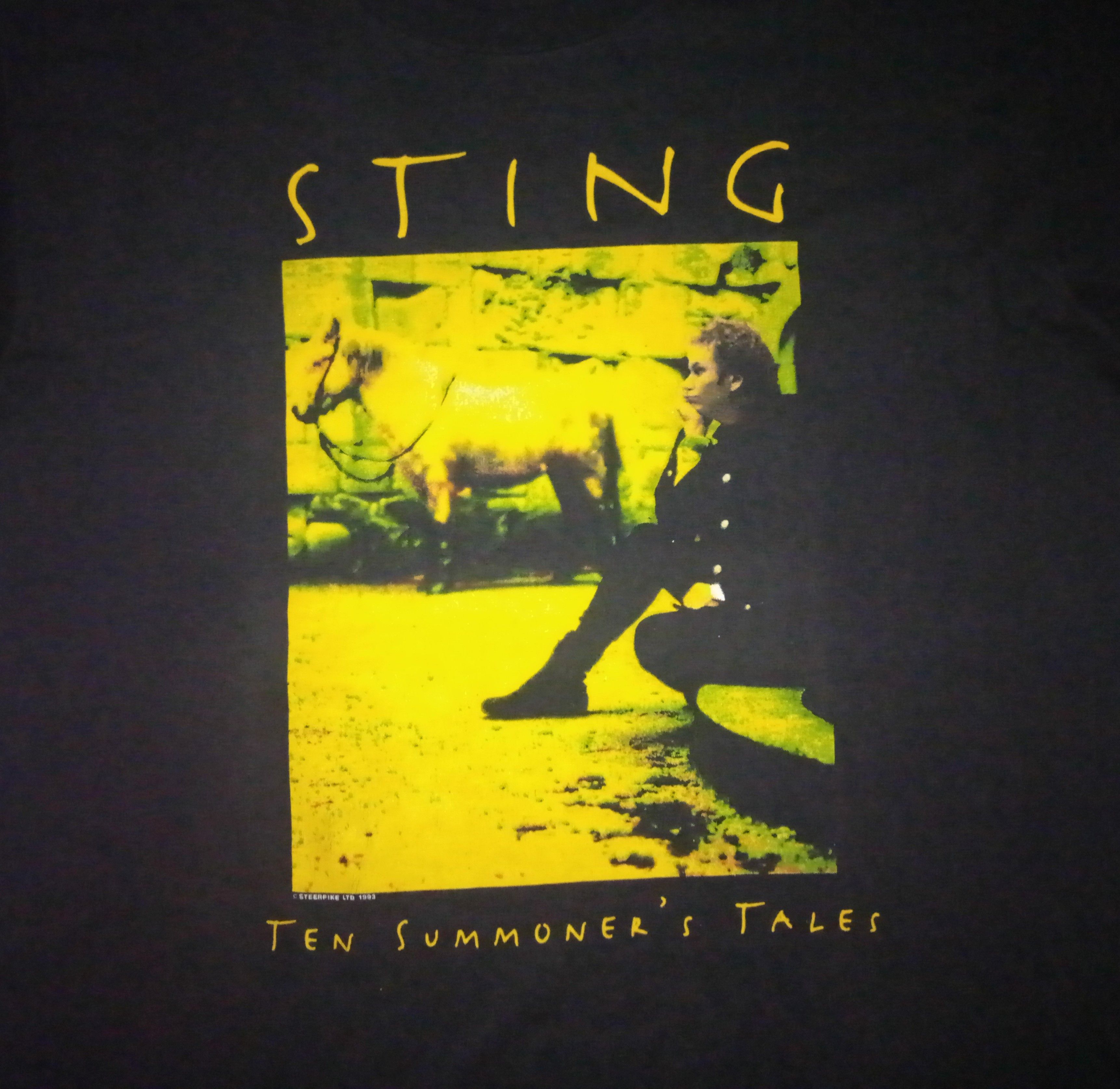 Band Tees × Vintage Vtg 90 Sting Ten Summoner's Tales shirt solo vintage Size US XL / EU 56 / 4 - 1 Thumbnail