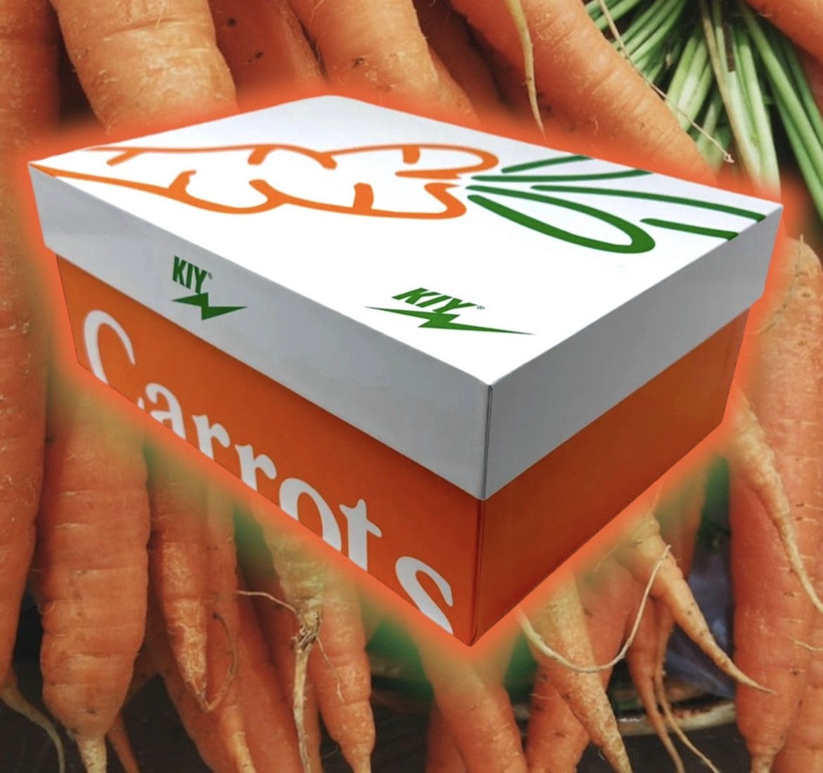 Reves Paris 🆕 Kool Kiy '85 Hi's Carrots 🥕 | Grailed