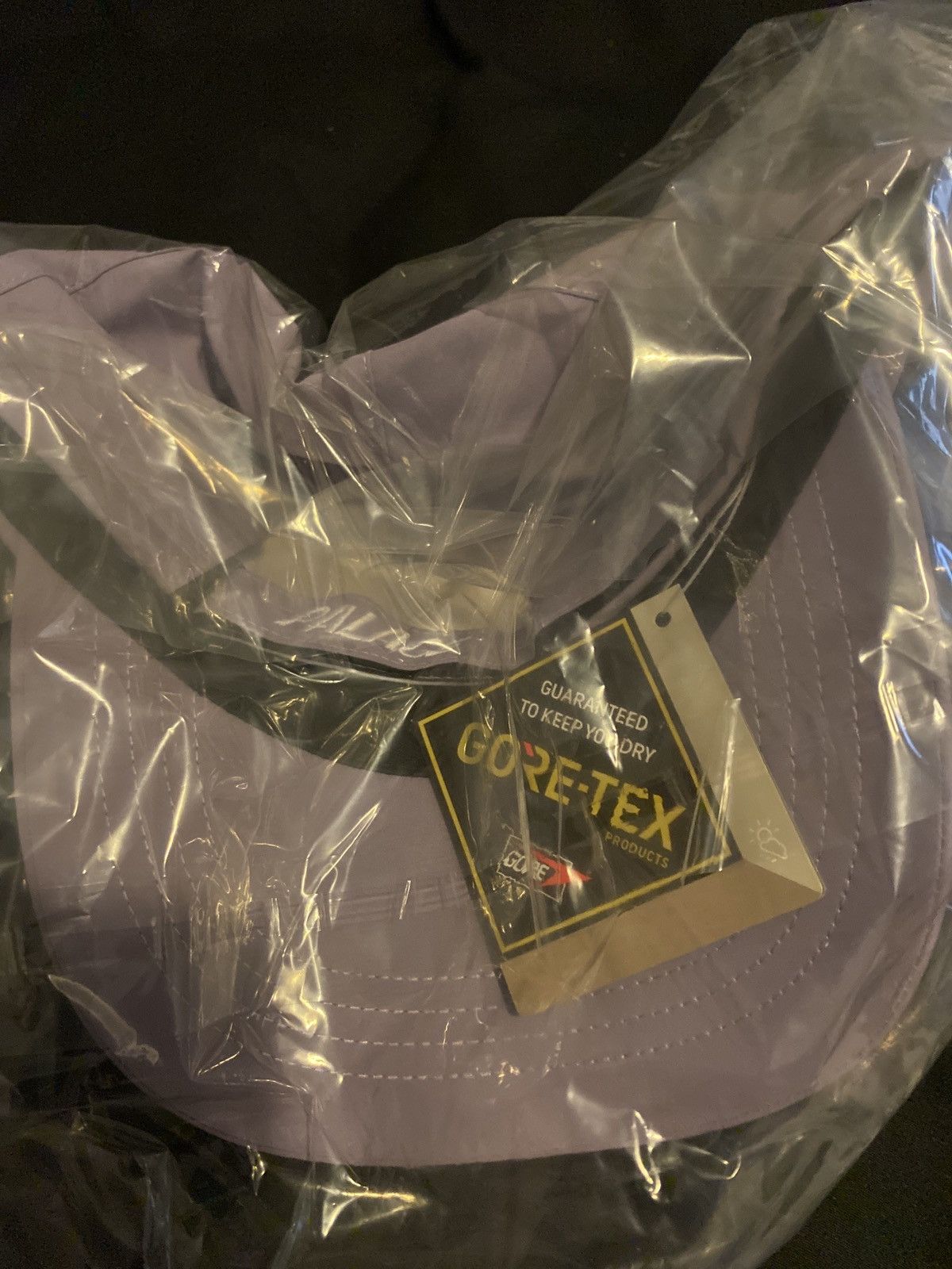 Goretex × Palace Palace Gore-Tex 6-Panel Purple Hat Size ONE SIZE - 8 Thumbnail