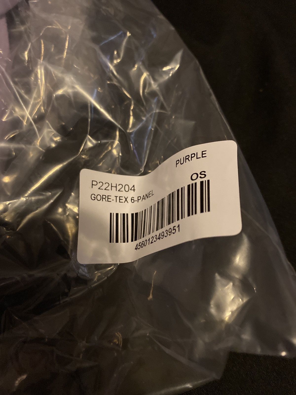 Goretex × Palace Palace Gore-Tex 6-Panel Purple Hat Size ONE SIZE - 6 Thumbnail