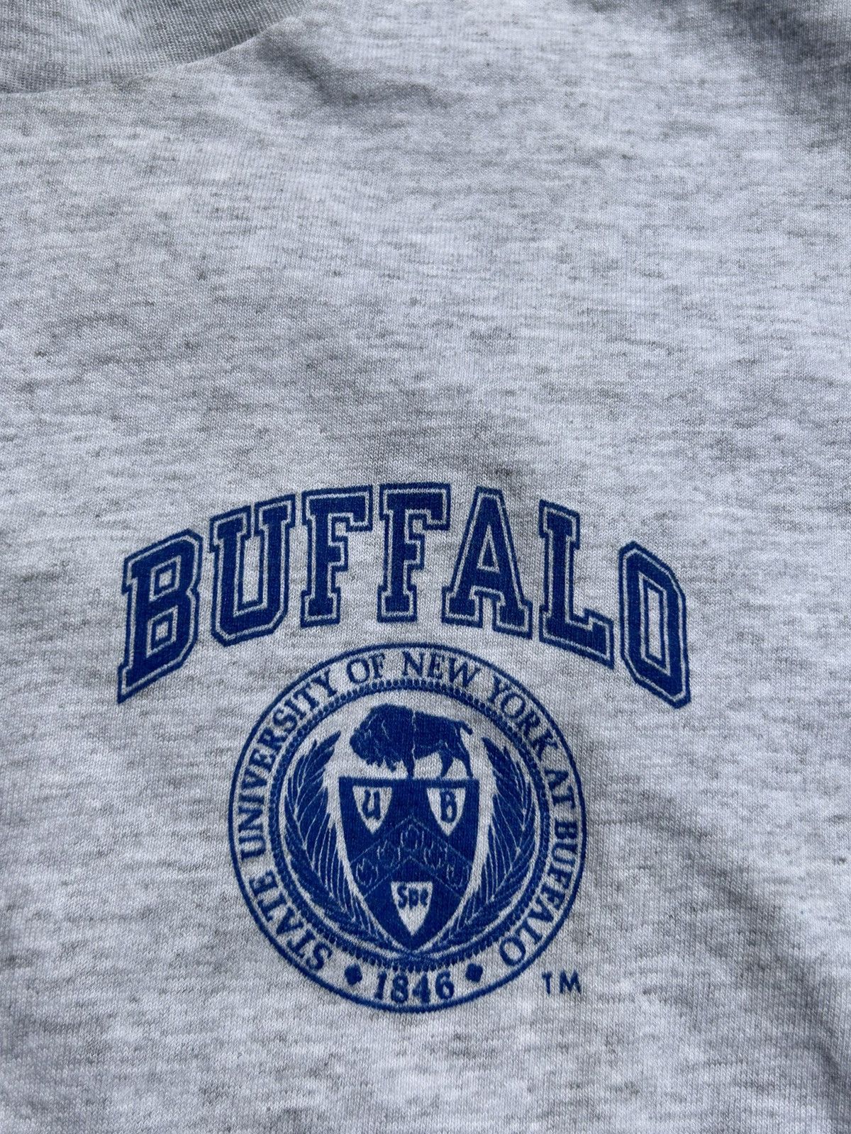 Champion Vintage Champion University Of New York At Buffalo T Shirt Size US M / EU 48-50 / 2 - 2 Thumbnail