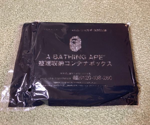 Bape BAPE A BATHING APE CONTAINER | Grailed