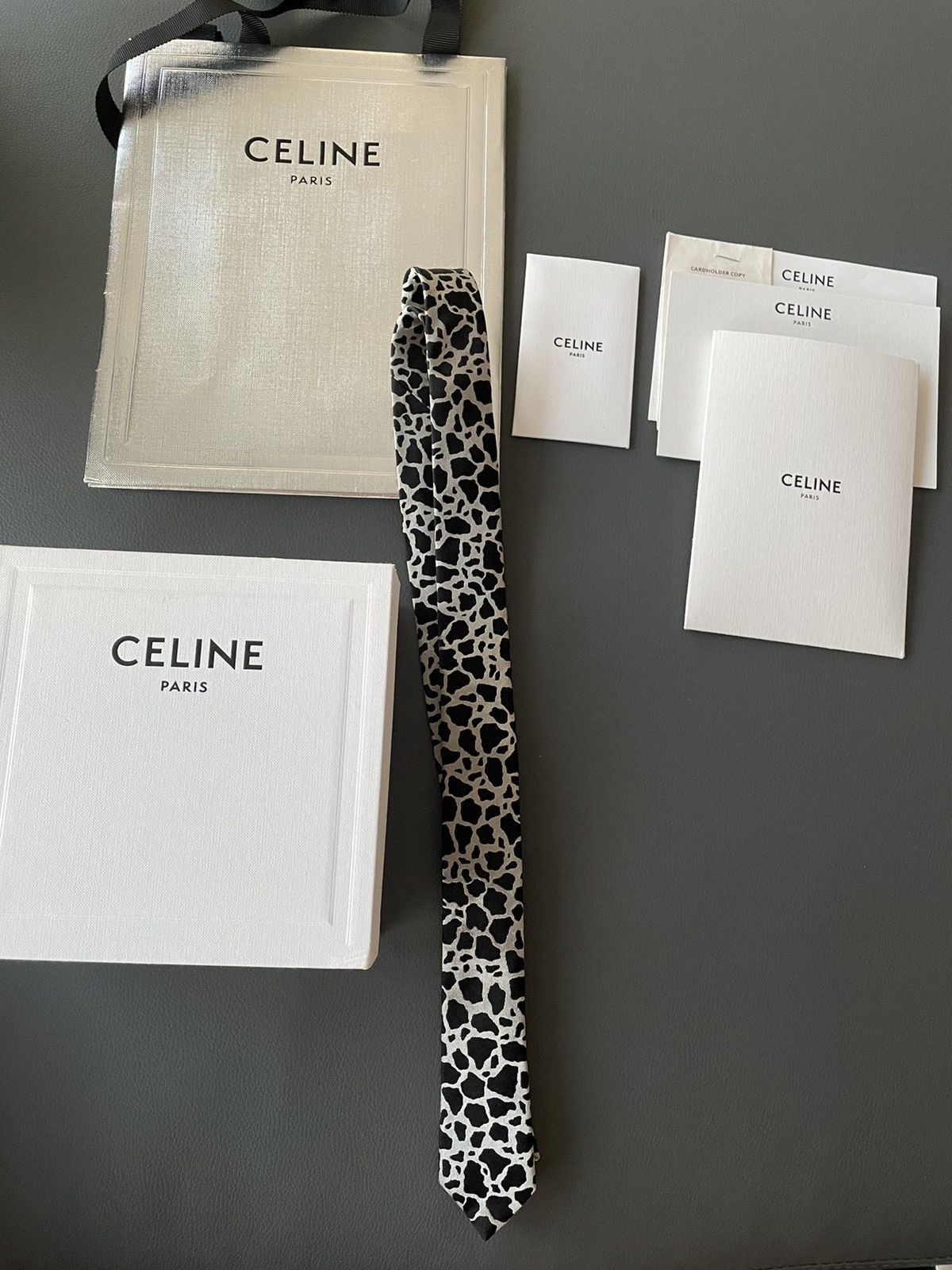Celine × Hedi Slimane Rare Super Runway Brand New Silk Tie Limited Edition Size ONE SIZE - 2 Thumbnail