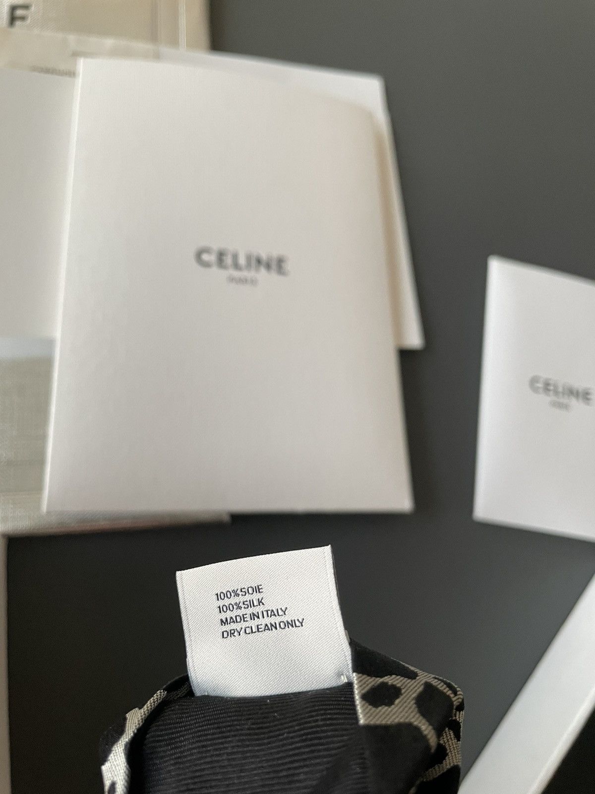 Celine × Hedi Slimane Rare Super Runway Brand New Silk Tie Limited Edition Size ONE SIZE - 5 Thumbnail
