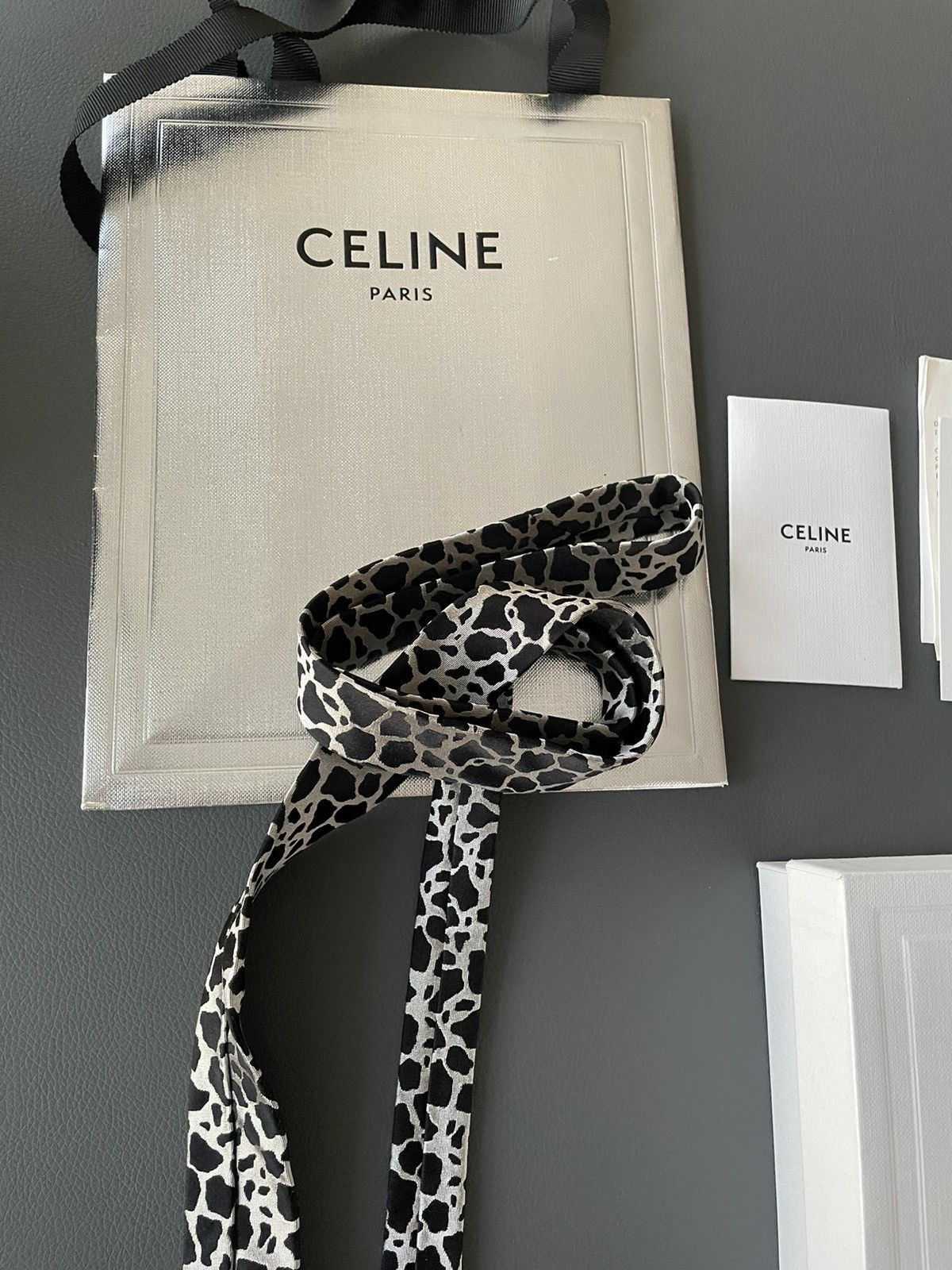 Celine × Hedi Slimane Rare Super Runway Brand New Silk Tie Limited Edition Size ONE SIZE - 8 Thumbnail