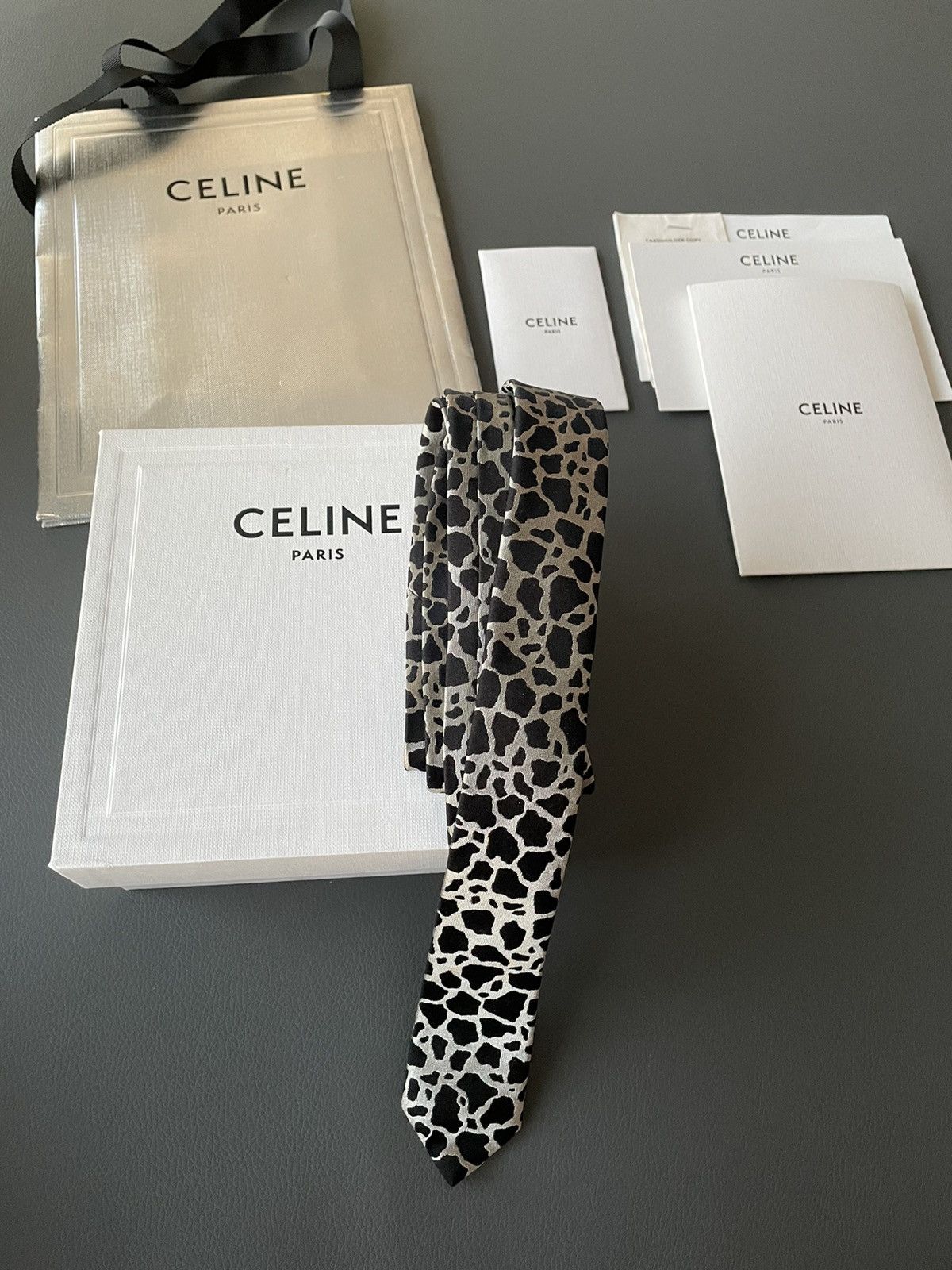 Celine × Hedi Slimane Rare Super Runway Brand New Silk Tie Limited Edition Size ONE SIZE - 10 Thumbnail
