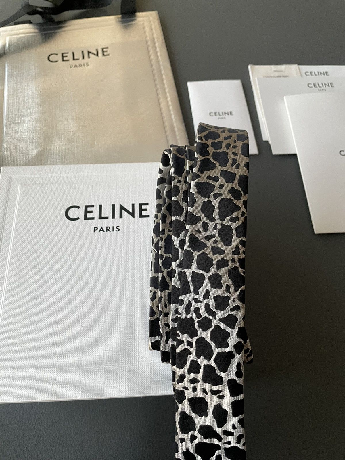 Celine × Hedi Slimane Rare Super Runway Brand New Silk Tie Limited Edition Size ONE SIZE - 9 Thumbnail